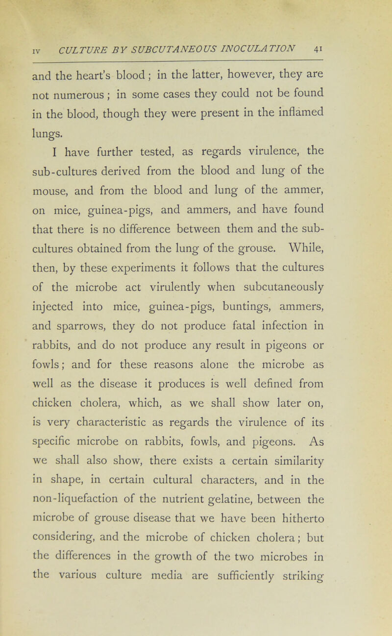 and the heart’s blood; in the latter, however, they are not numerous ; in some cases they could not be found in the blood, though they were present in the inflamed lungs. I have further tested, as regards virulence, the sub-cultures derived from the blood and lung of the mouse, and from the blood and lung of the ammer, on mice, guinea-pigs, and ammers, and have found that there is no difference between them and the sub- cultures obtained from the lung of the grouse. While, then, by these experiments it follows that the cultures of the microbe act virulently when subcutaneously injected into mice, guinea-pigs, buntings, ammers, and sparrows, they do not produce fatal infection in rabbits, and do not produce any result in pigeons or fowls; and for these reasons alone the microbe as well as the disease it produces is well defined from chicken cholera, which, as we shall show later on, is very characteristic as regards the virulence of its specific microbe on rabbits, fowls, and pigeons. As we shall also show, there exists a certain similarity in shape, in certain cultural characters, and in the non-liquefaction of the nutrient gelatine, between the microbe of grouse disease that we have been hitherto considering, and the microbe of chicken cholera; but the differences in the growth of the two microbes in the various culture media are sufficiently striking