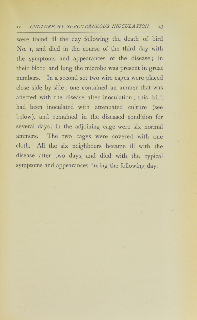 were found ill the day following the death of bird No. 1, and died in the course of the third day with the symptoms and appearances of the disease; in their blood and lung the microbe was present in great numbers. In a second set two wire cages were placed close side by side; one contained an ammer that was affected with the disease after inoculation ; this bird had been inoculated with attenuated culture (see below), and remained in the diseased condition for several days; in the adjoining cage were six normal ammers. The two cages were covered with one cloth. All the six neighbours became ill with the disease after two days, and died with the typical symptoms and appearances during the following day.