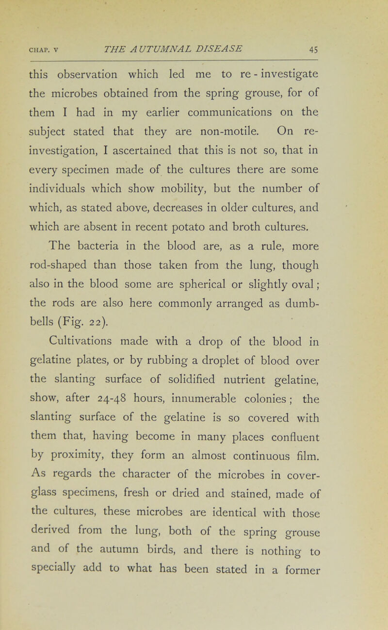 this observation which led me to re - investigate the microbes obtained from the spring grouse, for of them I had in my earlier communications on the subject stated that they are non-motile. On re- investigation, I ascertained that this is not so, that in every specimen made of the cultures there are some individuals which show mobility, but the number of which, as stated above, decreases in older cultures, and which are absent in recent potato and broth cultures. The bacteria in the blood are, as a rule, more rod-shaped than those taken from the lung, though also in the blood some are spherical or slightly oval; the rods are also here commonly arranged as dumb- bells (Fig. 22). Cultivations made with a drop of the blood in gelatine plates, or by rubbing a droplet of blood over the slanting surface of solidified nutrient gelatine, show, after 24-48 hours, innumerable colonies; the slanting surface of the gelatine is so covered with them that, having become in many places confluent by proximity, they form an almost continuous film. As regards the character of the microbes in cover- glass specimens, fresh or dried and stained, made of the cultures, these microbes are identical with those derived from the lung, both of the spring grouse and of the autumn birds, and there is nothing to specially add to what has been stated in a former