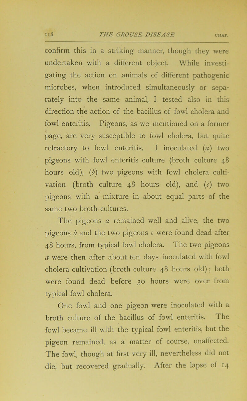 confirm this in a striking manner, though they were undertaken with a different object. While investi- gating the action on animals of different pathogenic microbes, when introduced simultaneously or sepa- rately into the same animal, I tested also in this direction the action of the bacillus of fowl cholera and fowl enteritis. Pigeons, as we mentioned on a former page, are very susceptible to fowl cholera, but quite refractory to fowl enteritis. I inoculated (a) two pigeons with fowl enteritis culture (broth culture 48 hours old), (b) two pigeons with fowl cholera culti- vation (broth culture 48 hours old), and (c) two pigeons with a mixture in about equal parts of the same two broth cultures. The pigeons a remained well and alive, the two pigeons b and the two pigeons c were found dead after 48 hours, from typical fowl cholera. The two pigeons a were then after about ten days inoculated with fowl cholera cultivation (broth culture 48 hours old); both were found dead before 30 hours were over from typical fowl cholera. One fowl and one pigeon were inoculated with a broth culture of the bacillus of fowl enteritis. The fowl became ill with the typical fowl enteritis, but the pigeon remained, as a matter of course, unaffected. The fowl, though at first very ill, nevertheless did not