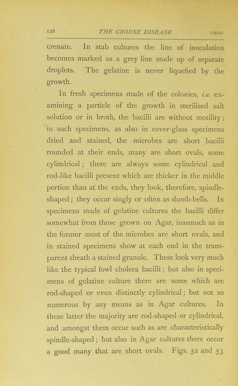 crenate. In stab cultures the line of inoculation becomes marked as a grey line made up of separate droplets. The gelatine is never liquefied by the growth. In fresh specimens made of the colonies, i.e. ex- amining a particle of the growth in sterilised salt solution or in broth, the bacilli are without motility; in such specimens, as also in cover-glass specimens dried and stained, the microbes are short bacilli rounded at their ends, many are short ovals, some cylindrical ; there are always some cylindrical and rod-like bacilli present which are thicker in the middle portion than at the ends, they look, therefore, spindle- shaped ; they occur singly or often, as dumb-bells. In specimens made of gelatine cultures the bacilli differ somewhat from those grown on Agar, inasmuch as in the former most of the microbes are short ovals, and in stained specimens show at each end in the trans- parent sheath a stained granule. These look very much like the typical fowl cholera bacilli; but also in speci- mens of gelatine culture there are some which are rod-shaped or even distinctly cylindrical; but not so numerous by any means as in Agar cultures. In these latter the majority are rod-shaped or cylindrical, and amongst them occur such as are characteristically spindle-shaped ; but also in Agar cultures there occur a good many that are short ovals. Figs. 52 and 53