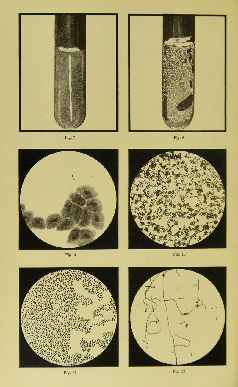 Fig. 9 Fig. 10 Fig. 12