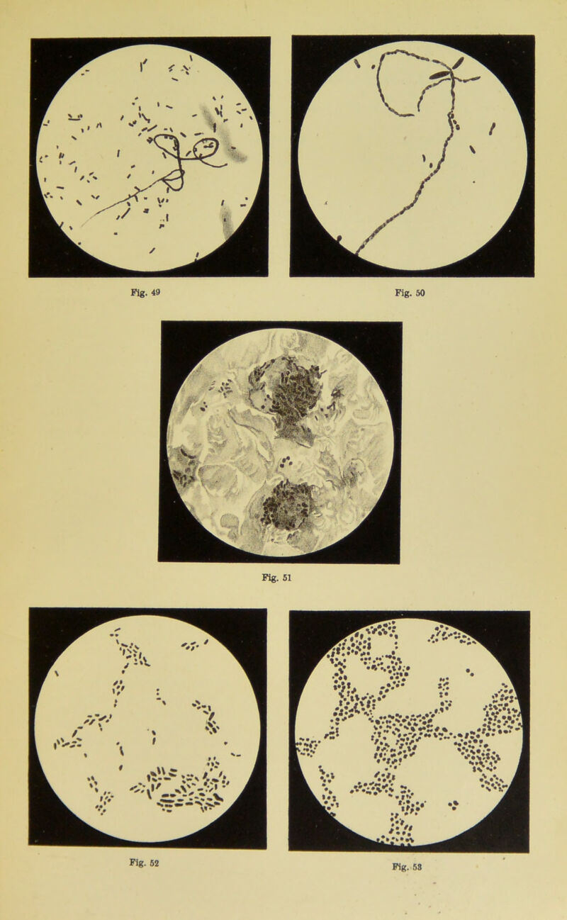 ‘.V Fig. 52