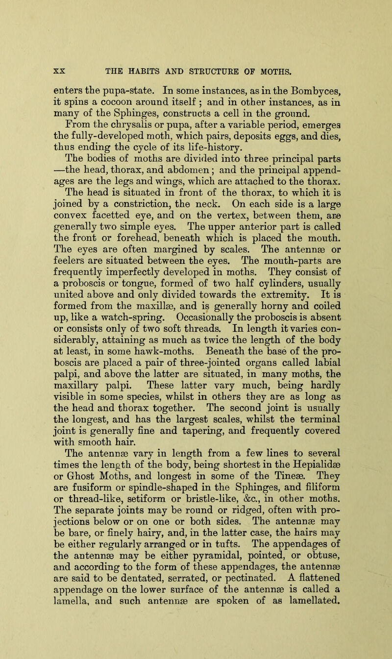 enters the pupa-state. In some instances, as in the Bombyces, it spins a cocoon around itself ; and in other instances, as in many of the Sphinges, constructs a cell in the ground. From the chrysalis or pupa, after a variable period, emerges the fully-developed moth, which pairs, deposits eggs, and dies, thus ending the cycle of its life-history. The bodies of moths are divided into three principal parts —the head, thorax, and abdomen; and the principal append- ages are the legs and wings, which are attached to the thorax. The head is situated in front of the thorax, to which it is joined by a constriction, the neck. On each side is a large convex facetted eye, and on the vertex, between them, are generally two simple eyes. The upper anterior part is called the front or forehead, beneath which is placed the mouth. The eyes are often margined by scales. The antennae or feelers are situated between the eyes. The mouth-parts are frequently imperfectly developed in moths. They consist of a proboscis or tongue, formed of two half cylinders, usually united above and only divided towards the extremity. It is formed from the maxillae, and is generally horny and coiled up, like a watch-spring. Occasionally the proboscis is absent or consists only of two soft threads. In length it varies con- siderably, attaining as much as twice the length of the body at least, in some hawk-moths. Beneath the base of the pro- boscis are placed a pair of three-jointed organs called labial palpi, and above the latter are situated, in many moths, the maxillary palpi. These latter vary much, being hardly visible in some species, whilst in others they are as long as the head and thorax together. The second joint is usually the longest, and has the largest scales, whilst the terminal joint is generally fine and tapering, and frequently covered with smooth hair. The antennae vary in length from a few lines to several times the length of the body, being shortest in the Hepialidae or Ghost Moths, and longest in some of the Tinese. They are fusiform or spindle-shaped in the Sphinges, and filiform or thread-like, setiform or bristle-like, &c., in other moths. The separate joints may be round or ridged, often with pro- jections below or on one or both sides. The antennae may be bare, or finely hairy, and, in the latter case, the hairs may be either regularly arranged or in tufts. The appendages of the antennae may be either pyramidal, pointed, or obtuse, and according to the form of these appendages, the antennae are said to be dentated, serrated, or pectinated. A flattened appendage on the lower surface of the antennae is called a lamella, and such antennae are spoken of as lamellated.