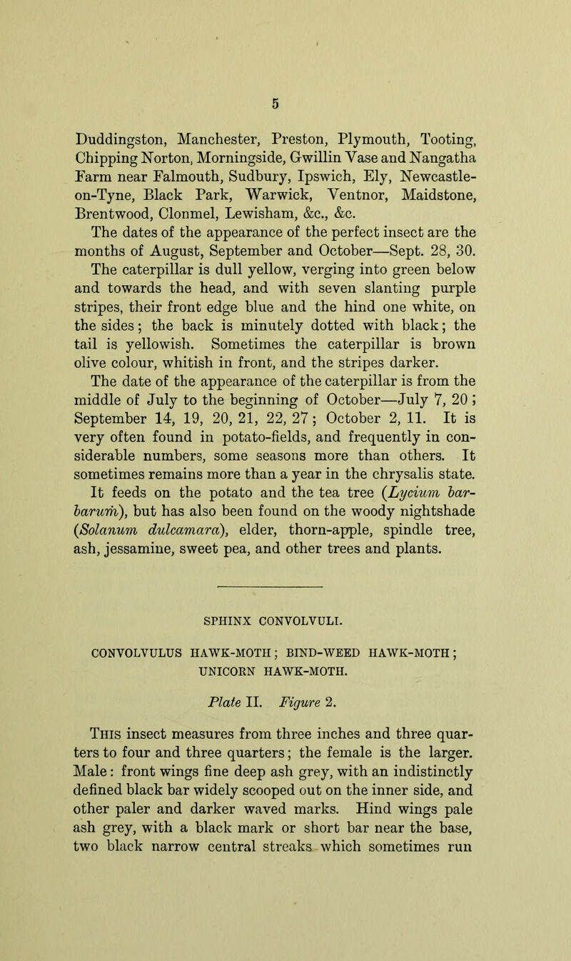 Duddingston, Manchester, Preston, Plymouth, Tooting, Chipping Norton, Morningside, Gwillin Vase and Nangatha Farm near Falmouth, Sudbury, Ipswich, Ely, Newcastle- on-Tyne, Black Park, Warwick, Yentnor, Maidstone, Brentwood, Clonmel, Lewisham, &c., &c. The dates of the appearance of the perfect insect are the months of August, September and October—Sept. 28, 30. The caterpillar is dull yellow, verging into green below and towards the head, and with seven slanting purple stripes, their front edge blue and the hind one white, on the sides; the back is minutely dotted with black; the tail is yellowish. Sometimes the caterpillar is brown olive colour, whitish in front, and the stripes darker. The date of the appearance of the caterpillar is from the middle of July to the beginning of October—July 7, 20 ) September 14, 19, 20, 21, 22, 27; October 2, 11. It is very often found in potato-fields, and frequently in con- siderable numbers, some seasons more than others. It sometimes remains more than a year in the chrysalis state. It feeds on the potato and the tea tree (Lycium bar- barum), but has also been found on the woody nightshade (,Solatium dulcamara), elder, thorn-aprple, spindle tree, ash, jessamine, sweet pea, and other trees and plants. SPHINX CONVOLVULI. CONVOLVULUS HAWK-MOTH; BIND-WEED HAWK-MOTH; UNICORN HAWK-MOTH. Plate II. Figure 2. This insect measures from three inches and three quar- ters to four and three quarters; the female is the larger. Male: front wings fine deep ash grey, with an indistinctly defined black bar widely scooped out on the inner side, and other paler and darker waved marks. Hind wings pale ash grey, with a black mark or short bar near the base, two black narrow central streaks which sometimes run