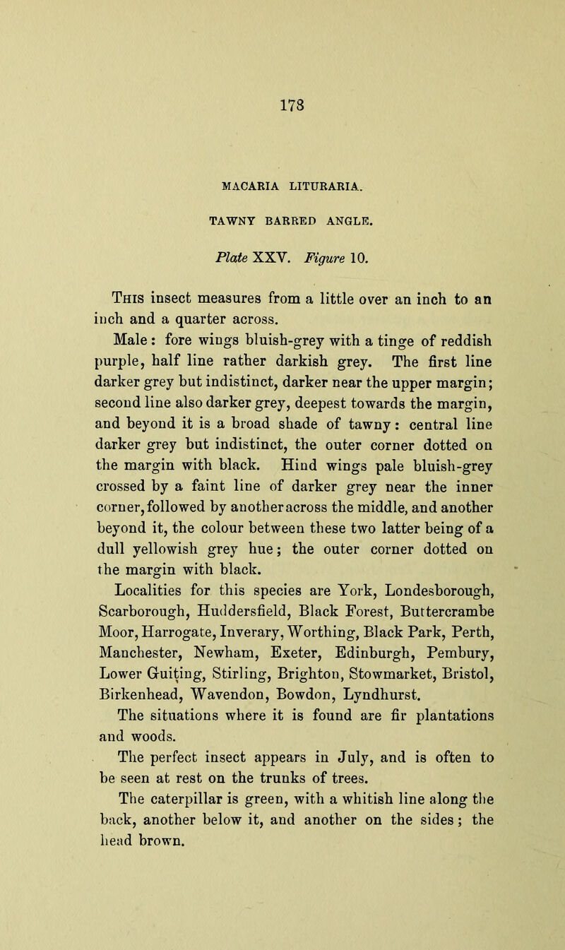 17S MACARIA LITURARIA. TAWNY BARRED ANGLE. Plate XXV. Figure 10. This insect measures from a little over an inch to an inch and a quarter across. Male : fore wiugs bluish-grey with a tinge of reddish purple, half line rather darkish grey. The first line darker grey but indistinct, darker near the upper margin; second line also darker grey, deepest towards the margin, and beyond it is a broad shade of tawny: central line darker grey but indistinct, the outer corner dotted on the margin with black. Hind wings pale bluish-grey crossed by a faint line of darker grey near the inner corner, followed by another across the middle, and another beyond it, the colour between these two latter being of a dull yellowish grey hue; the outer corner dotted on the margin with black. Localities for this species are York, Londesborough, Scarborough, Huddersfield, Black Forest, Buttercrambe Moor, Harrogate, Inverary, Worthing, Black Park, Perth, Manchester, Newham, Exeter, Edinburgh, Pembury, Lower Guiting, Stirling, Brighton, Stowmarket, Bristol, Birkenhead, Wavendon, Bowdon, Lyndhurst. The situations where it is found are fir plantations and woods. The perfect insect appears in July, and is often to be seen at rest on the trunks of trees. The caterpillar is green, with a whitish line along the back, another below it, and another on the sides; the head brown.