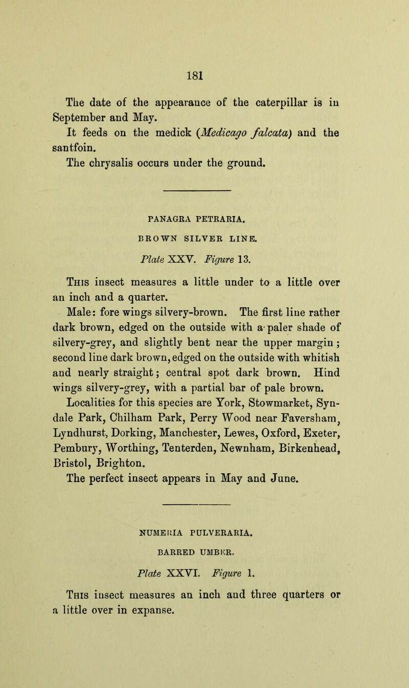 The date of the appearance of the caterpillar is in September and May. It feeds on the medick (Medicago falcata) and the santfoin. The chrysalis occurs under the ground. PANAGRA PETRARIA. BROWN SILVER LINE. Plate XXV. Figure 13. This insect measures a little under to a little over an inch and a quarter. Male: fore wings silvery-brown. The first line rather dark brown, edged on the outside with a paler shade of silvery-grey, and slightly bent near the upper margin ; second line dark brown, edged on the outside with whitish and nearly straight; central spot dark brown. Hind wings silvery-grey, with a partial bar of pale brown. Localities for this species are York, Stowmarket, Syn- dale Park, Chilham Park, Perry Wood near Faversham, Lyndhurst, Dorking, Manchester, Lewes, Oxford, Exeter, Pembury, Worthing, Tenterden, Newnham, Birkenhead, Bristol, Brighton. The perfect insect appears in May and June. NUMEKIA PULVERARIA. BARRED UMBER. Plate XXVI. Figure 1. This insect measures an inch and three quarters or a little over in expanse.