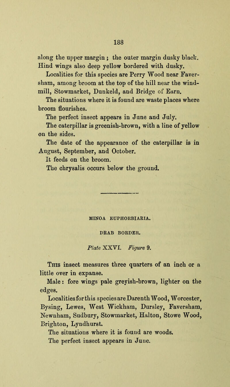 along the upper margin ; the outer margin dusky black. Hind wings also deep yellow bordered with dusky. Localities for this species are Perry Wood near Faver- sham, among broom at the top of the hill near the wind- mill, Stowmarket, Dunkeld, and Bridge of Earn. The situations where it is found are waste places where broom flourishes. The perfect insect appears in June and July. The caterpillar is greenish-brown, with a line of yellow on the sides. The date of the appearance of the caterpillar is in August, September, and October. It feeds on the broom. The chrysalis occurs below the ground. MINOA EUPHORBIARIA. DRAB BORDER. Plate XXVI. Figure 9. This insect measures three quarters of an inch or a little over in expanse. Male: fore wings pale greyish-brown, lighter on the edges. Localities for this species are Darenth Wood, Worcester, Bysing, Lewes, West Wickham, Dursley, Faversham, Newnham, Sudbury, Stowmarket, Hal ton, Stowe Wood, Brighton, Lyndhurst. The situations where it is found are woods. The perfect insect appears in June.