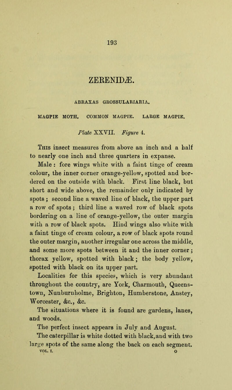 ZERENIDiE. ABRAXAS GROSSULARIARIA. MAGPIE MOTH. COMMON MAGPIE. LARGE MAGPIE. Plate XXVII. Figure 4. This insect measures from above an inch and a half to nearly one inch and three quarters in expanse. Male : fore wings white with a faint tinge of cream colour, the inner corner orange-yellow, spotted and bor- dered on the outside with black. First line black, but short and wide above, the remainder only indicated by spots ; second line a waved line of black, the upper part a row of spots; third line a waved row of black spots bordering on a line of orange-yellow, the outer margin with a row of black spots. Hind wings also white with a faint tinge of cream colour, a row of black spots round the outer margin, another irregular one across the middle, and some more spots between it and the inner corner; thorax yellow, spotted with black; the body yellow, spotted with black on its upper part. Localities for this species, which is very abundant throughout the country, are York, Charmouth, Queens- town, Nunburuholme, Brighton, Humberstone, Anstey, Worcester, &c., &c. The situations where it is found are gardens, lanes, and woods. The perfect insect appears in July and August. The caterpillar is white dotted with black,and with two large spots of the same along the back on each segment. VOL. I. o