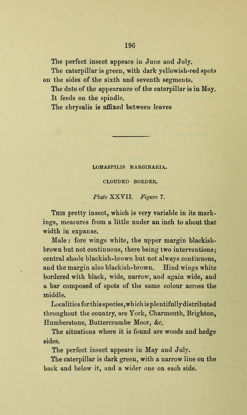 The perfect insect appears in June and July. The caterpillar is green, with dark yellowish-red spots on the sides of the sixth and seventh segments. The date of the appearance of the caterpillar is in May. It feeds on the spindle. The chrysalis is affixed between leaves LOMASPILIS MARGINARIA. CLOUDED BORDER. Plate XXVII. Figure 7. This pretty insect, which is very variable in its mark- ings, measures from a little under an inch to about that width in expanse. Male: fore wings white, the upper margin blackish- brown but not continuous, there being two interventions; central shade blackish-brown but not always continuous, and the margin also blackish-brown. Hind wings white bordered with black, wide, narrow, and again wide, and a bar composed of spots of the same colour across the middle. Localities for this species, wh ich is plentifully distributed throughout the country, are York, Charmouth, Brighton, Humberstone, Buttercrambe Moor, &c. The situations where it is found are woods and hedge sides. The perfect insect appears in May and July. The caterpillar is dark green, with a narrow line on the back and below it, and a wider one on each side.