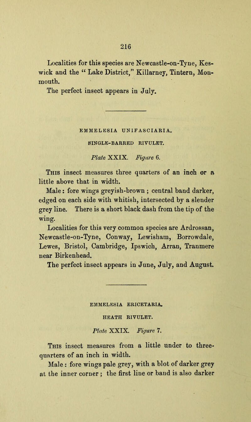 Localities for this species are Newcastle-on-Tyne, Kes- wick and the “ Lake District,” Killarney, Tintern, Mon- mouth. The perfect insect appears in July. EMMELESIA UN IF ASCIARI A. SINGLE-BARRED RIVULET. Plate XXIX. Figure 6. This insect measures three quarters of an inch or a little above that in width. Male: fore wings greyish-brown ; central band darker, edged on each side with whitish, intersected by a slender grey line. There is a short black dash from the tip of the wing. Localities for this very common species are Ardrossan, Newcastle-on-Tyne, Conway, Lewisham, Borrowdale, Lewes, Bristol, Cambridge, Ipswich, Arran, Tranmere near Birkenhead. The perfect insect appears in June, July, and August. EMMELESIA ERICETARIA. HEATH RIVULET. Plate XXIX. Figure 7. This insect measures from a little under to three- quarters of an inch in width. Male : fore wings pale grey, with a blot of darker grey at the inner corner ; the first line or band is also darker