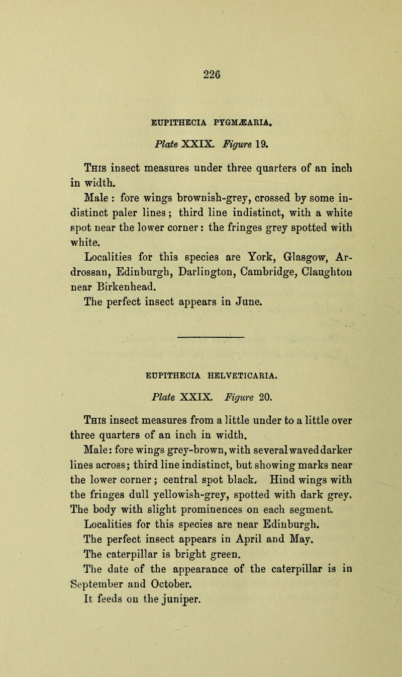 EUPITHECIA PYGMjEARIA. Plate XXIX. Figure 19. This insect measures under three quarters of an inch in width. Male : fore wings brownish-grey, crossed by some in- distinct paler lines; third line indistinct, with a white spot near the lower corner: the fringes grey spotted with white. Localities for this species are York, Glasgow, Ar- drossan, Edinburgh, Darlington, Cambridge, Claughton near Birkenhead. The perfect insect appears in June. EUPITHECIA HELVETICARIA. Plate XXIX Figure 20. This insect measures from a little under to a little over three quarters of an inch in width. Male: fore wings grey-brown, with several waved darker lines across; third line indistinct, but showing marks near the lower corner; central spot black. Hind wings with the fringes dull yellowish-grey, spotted with dark grey. The body with slight prominences on each segment. Localities for this species are near Edinburgh. The perfect insect appears in April and May. The caterpillar is bright green. The date of the appearance of the caterpillar is in September and October. It feeds on the juniper.