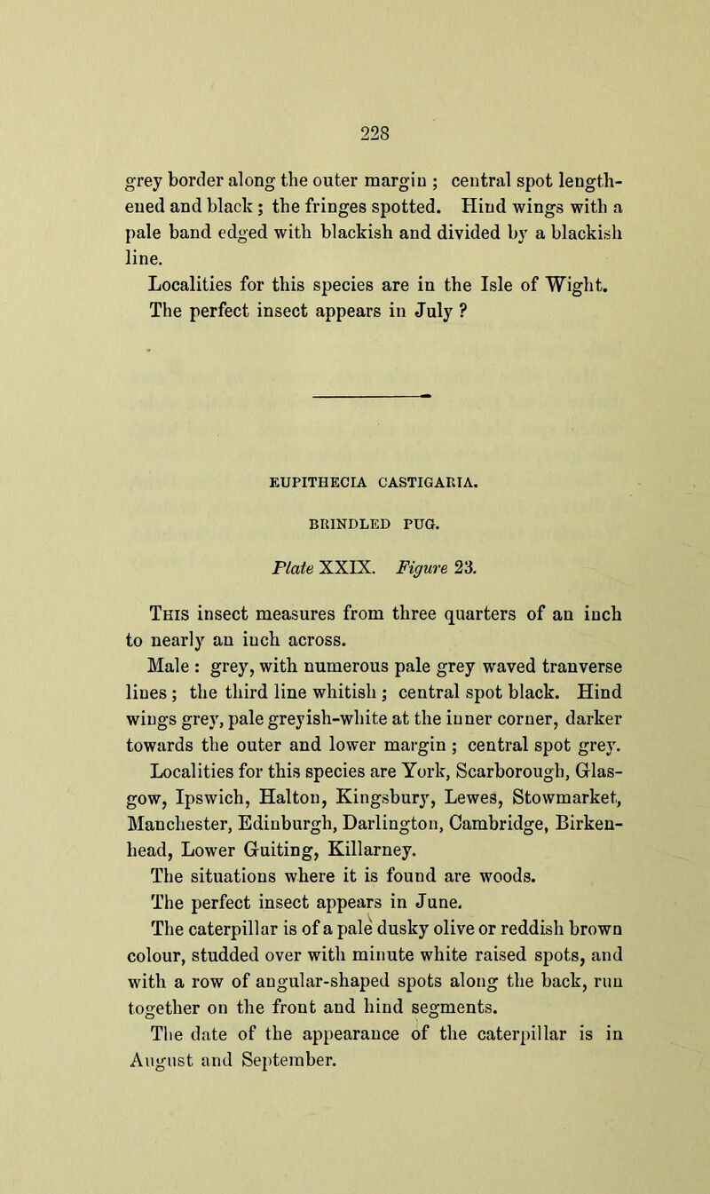 grey border along the outer margin ; central spot length- ened and black; the fringes spotted. Hind wings with a pale band edged with blackish and divided by a blackish line. Localities for this species are in the Isle of Wight. The perfect insect appears in July ? EUPITHECIA CASTIGARIA. BRINDLED PUG. Plate XXIX. Figure 23. This insect measures from three quarters of an inch to nearly an iuch across. Male : grey, with numerous pale grey waved tranverse lines ; the third line whitish; central spot black. Hind wings grey, pale greyish-white at the inner corner, darker towards the outer and lower margin ; central spot grey. Localities for this species are York, Scarborough, Glas- gow, Ipswich, Halton, Kingsbury, Lewes, Stowmarket, Manchester, Edinburgh, Darlington, Cambridge, Birken- head, Lower Guiting, Killarney. The situations where it is found are woods. The perfect insect appears in June. The caterpillar is of a pale dusky olive or reddish brown colour, studded over with minute white raised spots, and with a row of angular-shaped spots along the back, run together on the front and hind segments. The date of the appearance of the caterpillar is in August and September.