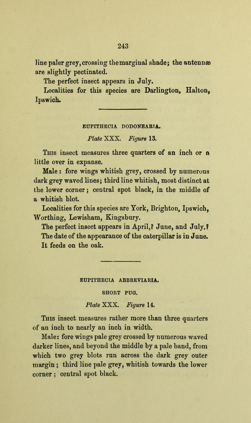 line paler grey,crossing themarginal shade; the antennae are slightly pectinated. The perfect insect appears in July. Localities for this species are Darlington, Halton, Ipswich. EUPITHECIA DODONEARTA. Plate XXX. Figure 13. This insect measures three quarters of an inch or a little over in expanse. Male: fore wings whitish grey, crossed by numerous dark grey waved lines; third line whitish, most distinct at the lower corner; central spot black, in the middle of a whitish blot. Localities for this species are York, Brighton, Ipswich, Worthing, Lewisham, Kingsbury. The perfect insect appears in April,? June, and July.? The date of the appearance of the caterpillar is in June. It feeds on the oak. EUPITHECIA ABBREVIARIA. SHORT PUG. Plate XXX. Figure 14. This insect measures rather more than three quarters of an inch to nearly an inch in width. Male: fore wings pale grey crossed by numerous waved darker lines, and beyond the middle by a pale band, from which two grey blots run across the dark grey outer margin; third line pale grey, whitish towards the lower corner ; central spot black.