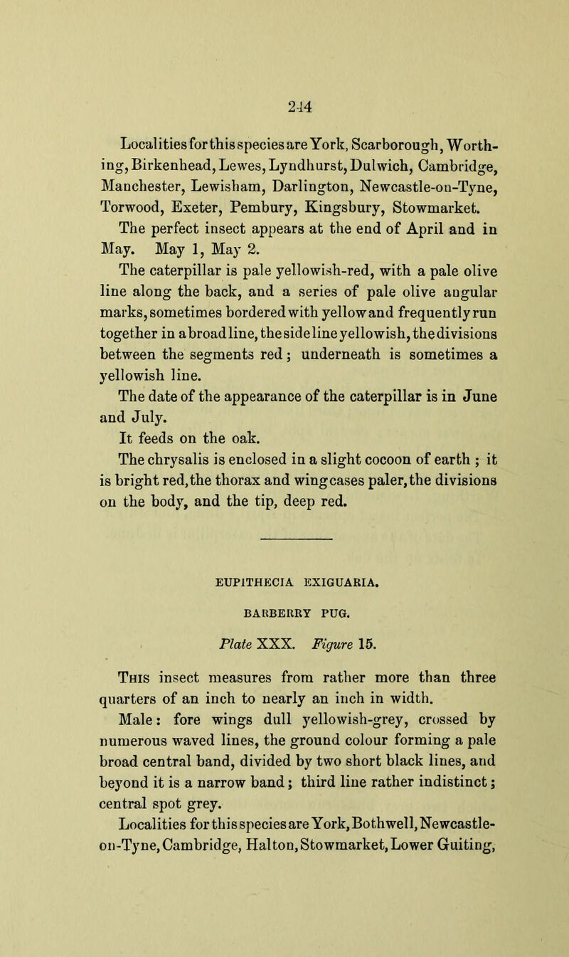 2-14 Localities for this species are York, Scarborough, Worth- ing, Birkenhead, Lewes, Lyndhurst, Dulwich, Cambridge, Manchester, Lewisham, Darlington, Newcastle-on-Tyne, Torwood, Exeter, Pembury, Kingsbury, Stowmarket. The perfect insect appears at the end of April and in May. May 1, May 2. The caterpillar is pale yellowish-red, with a pale olive line along the back, and a series of pale olive angular marks, sometimes bordered with yellowand frequentlyrun together in abroad line, thesideline yellowish, thedivisions between the segments red; underneath is sometimes a yellowish line. The date of the appearance of the caterpillar is in June and July. It feeds on the oak. The chrysalis is enclosed in a slight cocoon of earth ; it is bright red, the thorax and wing cases paler, the divisions on the body, and the tip, deep red. EUP1THECIA EXIGUARIA. BARBERRY PUG. Plate XXX. Figure 15. This insect measures from rather more than three quarters of an inch to nearly an inch in width. Male: fore wings dull yellowish-grey, crossed by numerous waved lines, the ground colour forming a pale broad central band, divided by two short black lines, and beyond it is a narrow band; third line rather indistinct; central spot grey. Localities for this species are York, Both well, Newcastle- on-Tyne, Cambridge, Halton, Stowmarket, Lower Guiting,