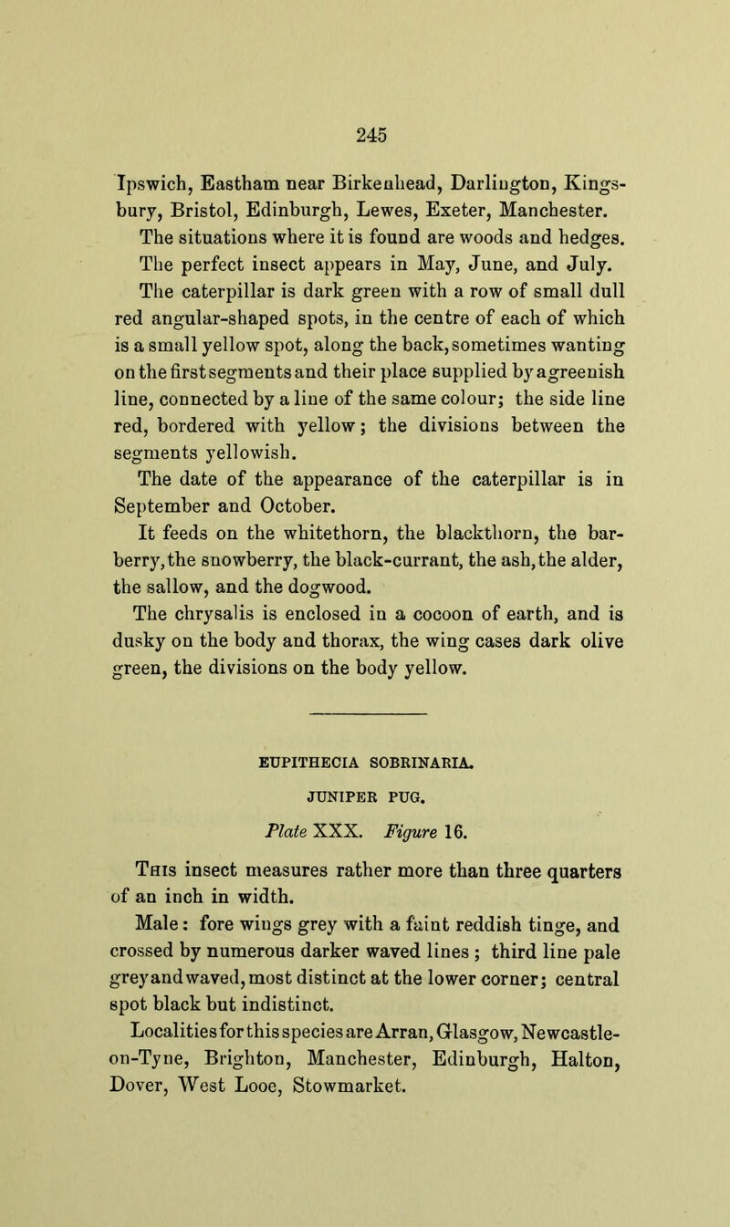 Ipswich, Eastham near Birkenhead, Darlington, Kings- bury, Bristol, Edinburgh, Lewes, Exeter, Manchester. The situations where it is found are woods and hedges. The perfect insect appears in May, June, and July. The caterpillar is dark green with a row of small dull red angular-shaped spots, in the centre of each of which is a small yellow spot, along the back, sometimes wanting on the first segments and their place supplied byagreenish line, connected by a line of the same colour; the side line red, bordered with yellow; the divisions between the segments yellowish. The date of the appearance of the caterpillar is in September and October. It feeds on the whitethorn, the blackthorn, the bar- berry, the snowberry, the black-currant, the ash, the alder, the sallow, and the dogwood. The chrysalis is enclosed in a cocoon of earth, and is dusky on the body and thorax, the wing cases dark olive green, the divisions on the body yellow. ETJPITHECIA SOBRINARIA. JUNIPER PUG. Plate XXX. Figure 16. This insect measures rather more than three quarters of an inch in width. Male: fore wings grey with a faint reddish tinge, and crossed by numerous darker waved lines ; third line pale grey and waved, most distinct at the lower corner; central spot black but indistinct. Localities for this species are Arran, Glasgow, Ne wcastle- on-Tyne, Brighton, Manchester, Edinburgh, Halton, Dover, West Looe, Stowmarket.
