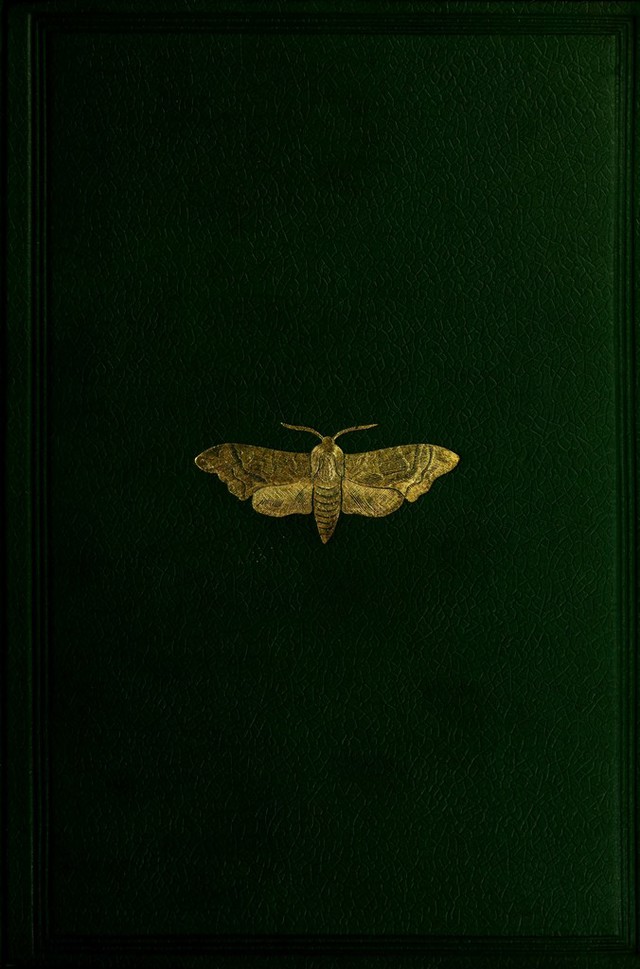 digitised image 1