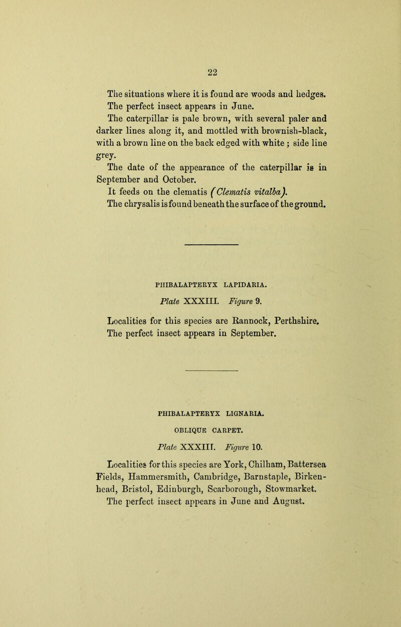 The situations where it is found are woods and hedges. The perfect insect appears in June. The caterpillar is pale brown, with several paler and darker lines along it, and mottled with brownish-black, with a brown line on the back edged with white ; side line grey. The date of the appearance of the caterpillar is in September and October. It feeds on the clematis (Clematis vitalba). The chrysalis is found beneath the surface of the ground. PHIBALAPTERYX LAPIDARIA. Plate XXXIII. Figure 9. Localities for this species are Rannock, Perthshire. The perfect insect appears in September. PHIBALAPTERYX LIGNARIA. OBLIQUE CARPET. Plate XXXIIT. Figure 10. Localities for this species are York, Chilham, Battersea Fields, Hammersmith, Cambridge, Barnstaple, Birken- head, Bristol, Edinburgh, Scarborough, Stowmarket. The perfect insect appears in June and August.