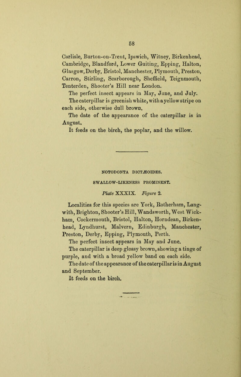 Carlisle, Burton-on-Trent, Ipswich, Witney, Birkenhead, Cambridge, Blandford, Lower Guiting, Epping, Halton, Glasgow, Derby, Bristol, Manchester, Plymouth, Preston, Carron, Stirling, Scarborough, Sheffield, Teignmouth, Tenterden, Shooter’s Hill near London. The perfect insect appears in May, June, and July. The caterpillar is greenish white, with ayellow stripe on each side, otherwise dull browD. The date of the appearance of the caterpillar is in August. It feeds on the birch, the poplar, and the willow. NOTODONTA DICT^OIDES. SWALLOW-LIKENESS PROMINENT. Plate XXXIX. Figure 2. Localities for this species are York, Rotherham, Lang- with, Brighton, Shooter’s Hill, Wandsworth, West Wick- ham, Cockermouth, Bristol, Halton, Horndean, Birken- head, Lyndhurst, Malvern, Edinburgh, Manchester, Preston, Derby, Epping, Plymouth, Perth. The perfect insect appears in May and June. The caterpillar is deep glossy brown, showing a tinge of purple, and with a broad yellow band on each side. The date of the appearance of the caterpillar is in August and September. It feeds on the birch.