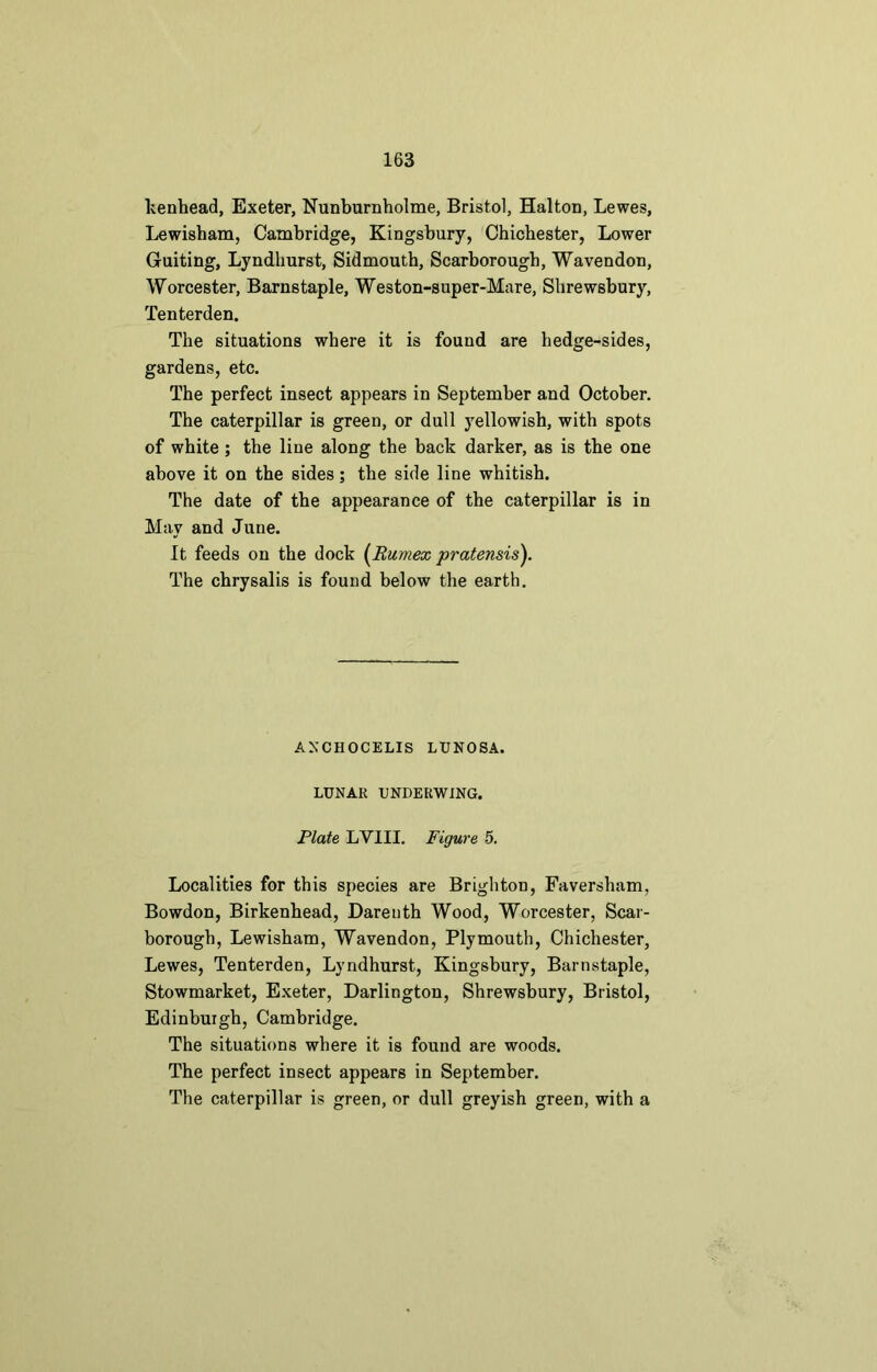 kenhead, Exeter, Nunburnholme, Bristol, Halton, Lewes, Lewisham, Cambridge, Kingsbury, Chichester, Lower Guiting, Lyndhurst, Sidmouth, Scarborough, Wavendon, Worcester, Barnstaple, Weston-super-Mare, Shrewsbury, Tenterden. The situations where it is found are hedge-sides, gardens, etc. The perfect insect appears in September and October. The caterpillar is green, or dull yellowish, with spots of white ; the line along the back darker, as is the one above it on the sides; the side line whitish. The date of the appearance of the caterpillar is in May and June. It feeds on the dock (Rumex pratensis). The chrysalis is found below the earth. ANCHOCELIS LUNOSA. LUNAR UNDERWING. Plate LV1II. Figure 5. Localities for this species are Brighton, Faversham, Bowdon, Birkenhead, Darenth Wood, Worcester, Scar- borough, Lewisham, Wavendon, Plymouth, Chichester, Lewes, Tenterden, Lyndhurst, Kingsbury, Barnstaple, Stowmarket, Exeter, Darlington, Shrewsbury, Bristol, Edinburgh, Cambridge. The situations where it is found are woods. The perfect insect appears in September. The caterpillar is green, or dull greyish green, with a