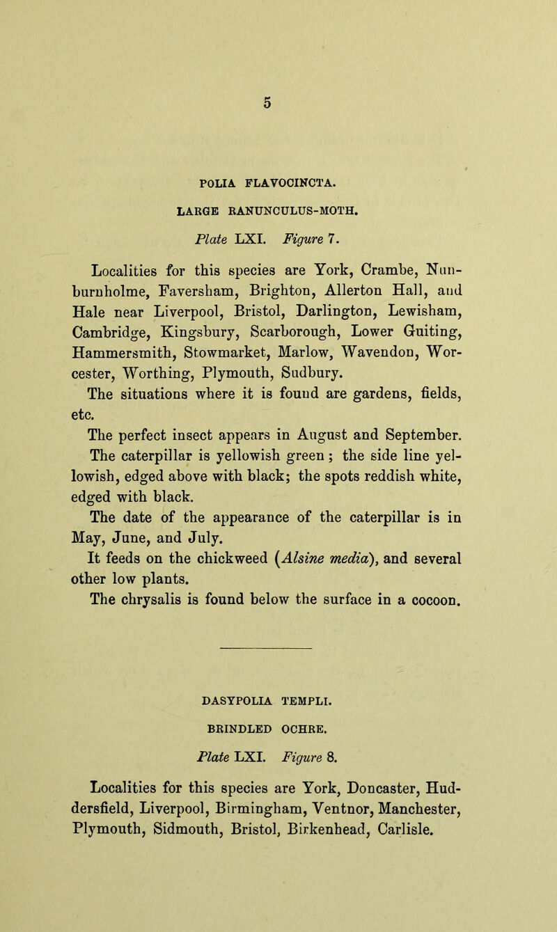 POLIA FLAVOCINCTA. LARGE RANUNCULUS-MOTH. Plate LXI. Figure 7. Localities for this species are York, Crambe, Nun- burnholme, Faversham, Brighton, Allerton Hall, and Hale near Liverpool, Bristol, Darlington, Lewisham, Cambridge, Kingsbury, Scarborough, Lower Guiting, Hammersmith, Stowmarket, Marlow, Wavendon, Wor- cester, Worthing, Plymouth, Sudbury. The situations where it is found are gardens, fields, etc. The perfect insect appears in August and September. The caterpillar is yellowish green; the side line yel- lowish, edged above with black; the spots reddish white, edged with black. The date of the appearance of the caterpillar is in May, June, and July. It feeds on the chickweed (Alsine media), and several other low plants. The chrysalis is found below the surface in a cocoon. DASYPOLIA TEMPLI. BRINDLED OCHRE, Plate LXI. Figure 8. Localities for this species are York, Doncaster, Hud- dersfield, Liverpool, Birmingham, Ventnor, Manchester, Plymouth, Sidmouth, Bristol, Birkenhead, Carlisle.