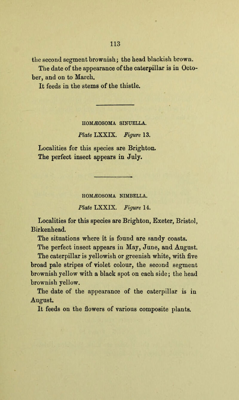 the second segment brownish; the head blackish brown. The date of the appearance of the caterpillar is in Octo- ber, and on to March. It feeds in the stems of the thistle. HOMjEOSOMA sinuella. Plate LXXIX. Figure 13. Localities for this species are Brighton. The perfect insect appears in July. IIOMjEOSOMA nimbella. Plate LXXIX. Figure 14. Localities for this species are Brighton, Exeter, Bristol, Birkenhead. The situations where it is found are sandy coasts. The perfect insect appears in May, June, and August. The caterpillar is yellowish or greenish white, with five broad pale stripes of violet colour, the second segment brownish yellow with a black spot on each side; the head brownish yellow. The date of the appearance of the caterpillar is in August. It feeds on the flowers of various composite plants.