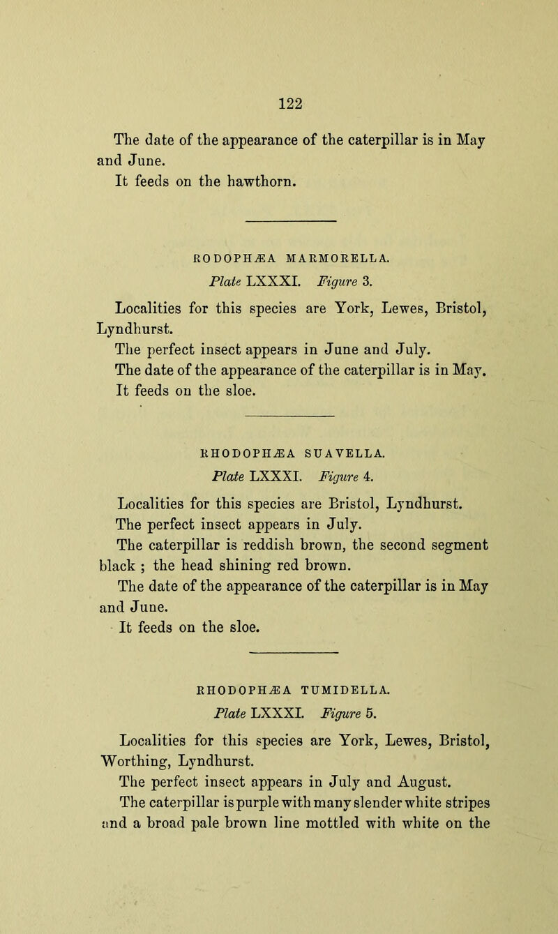 The date of the appearance of the caterpillar is in May and June. It feeds on the hawthorn. RO DOPHAEA maemoeella. Plate LXXXI. Figure 3. Localities for this species are York, Lewes, Bristol, Lyndhurst. The perfect insect appears in June and July. The date of the appearance of the caterpillar is in May. It feeds on the sloe. KHODOPHA5A SUAVELLA. Plate LXXXI. Figure 4. Localities for this species are Bristol, Lyndhurst. The perfect insect appears in July. The caterpillar is reddish brown, the second segment black ; the head shining red brown. The date of the appearance of the caterpillar is in May and June. It feeds on the sloe. RHODOPHAE A TUMIDELLA. Plate LXXXI. Figure 5. Localities for this species are York, Lewes, Bristol, Worthing, Lyndhurst. The perfect insect appears in July and August. The caterpillar is purple with many slender white stripes and a broad pale brown line mottled with white on the