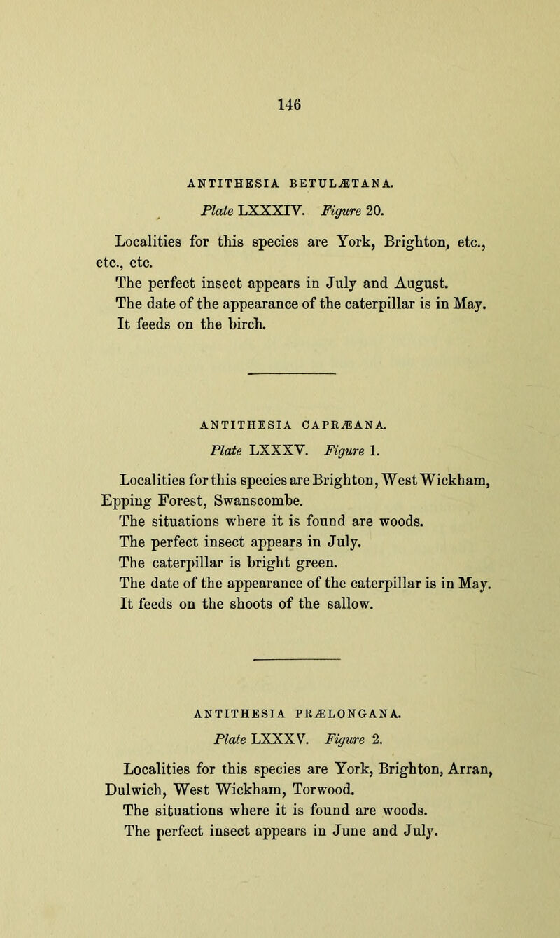 ANTITHESIA BETUL.ETANA. Plate LXXXIV. Figure 20. Localities for this species are York, Brighton, etc., etc., etc. The perfect insect appears in July and August. The date of the appearance of the caterpillar is in May. It feeds on the birch. ANTITHESIA CAPRA5ANA. Plate LXXXV. Figure 1. Localities forthis species are Brighton, West Wickham, Epping Forest, Swanscombe. The situations where it is found are woods. The perfect insect appears in July. The caterpillar is bright green. The date of the appearance of the caterpillar is in May. It feeds on the shoots of the sallow. ANTITHESIA PRiELONGANA. Plate LXXXV. Figure 2. Localities for this species are York, Brighton, Arran, Dulwich, West Wickham, Torwood. The situations where it is found are woods. The perfect insect appears in June and July.