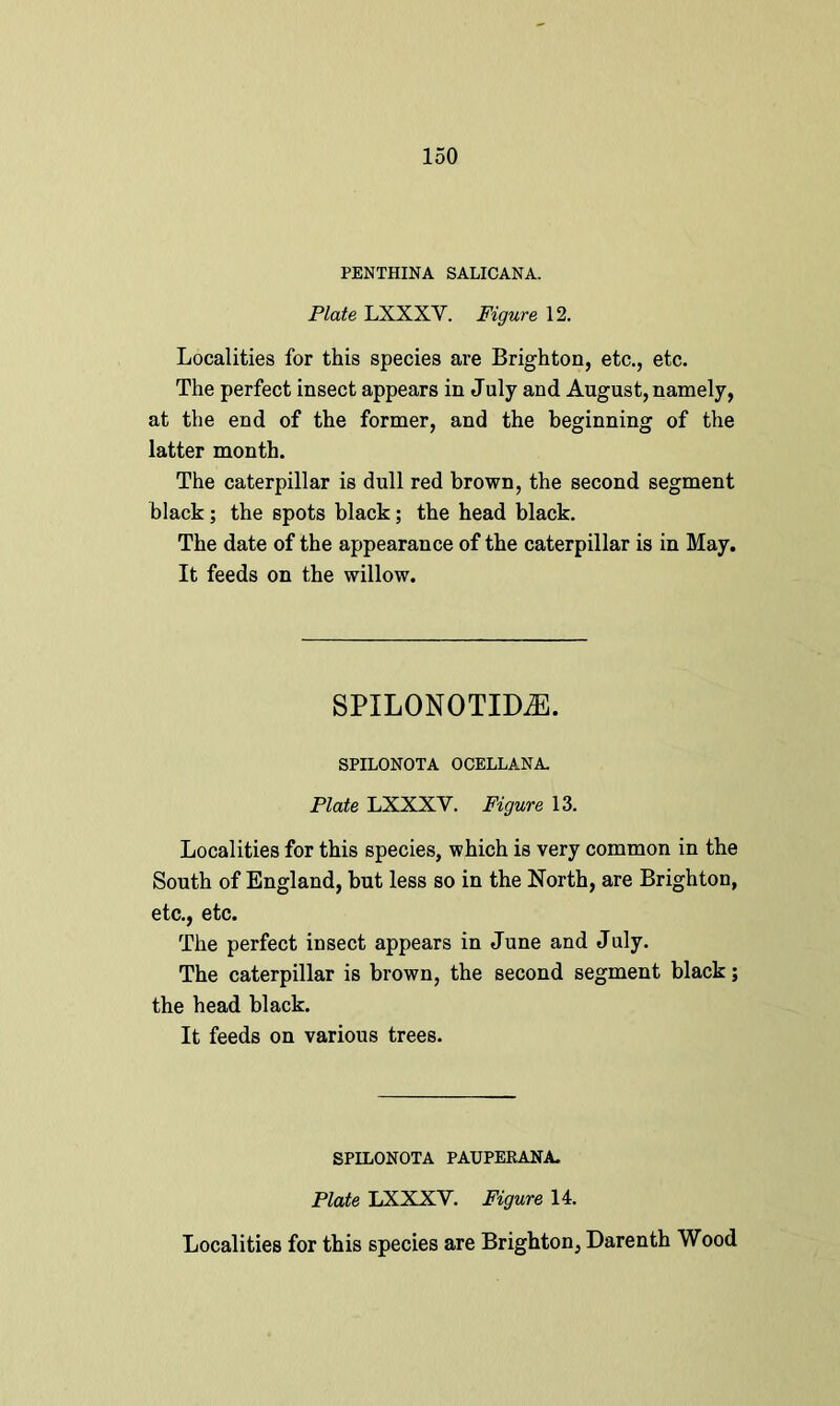 PENTHINA SALIC AN A. Plate LXXXY. Figure 12. Localities for this species are Brighton, etc., etc. The perfect insect appears in July and August, namely, at the end of the former, and the beginning of the latter month. The caterpillar is dull red brown, the second segment black; the spots black; the head black. The date of the appearance of the caterpillar is in May. It feeds on the willow. SPILONOTIDiE. SPILONOTA OCELLANA. Plate LXXXY. Figure 13. Localities for this species, which is very common in the South of England, but less so in the North, are Brighton, etc., etc. The perfect insect appears in June and July. The caterpillar is brown, the second segment black; the head black. It feeds on various trees. SPILONOTA PAUPERANA. Plate LXXXY. Figure 14. Localities for this species are Brighton, Darenth Wood