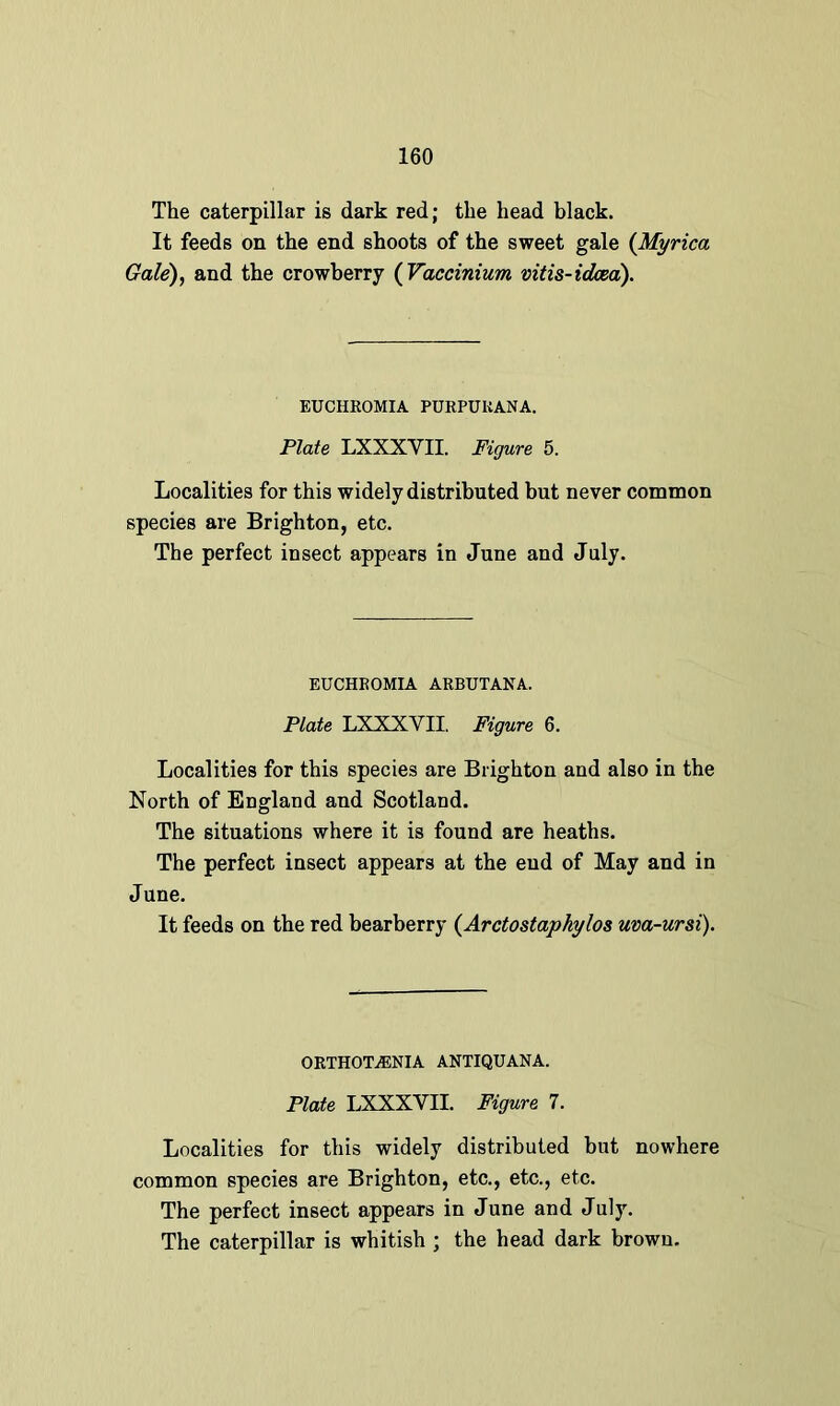 The caterpillar is dark red; the head black. It feeds on the end shoots of the sweet gale (Myrica Gale), and the crowherry ( Vaccinium vitis-idcea). EUCHEOMIA PURPUKANA. Plate LXXXVII. Figure 5. Localities for this widely distributed but never common species are Brighton, etc. The perfect insect appears in June and July. EUCHEOMIA ARBUTANA. Plate LXXXVII. Figure 6. Localities for this species are Brighton and also in the North of England and Scotland. The situations where it is found are heaths. The perfect insect appears at the eud of May and in June. It feeds on the red bearberry (Arctostaphylos uva-ursi). ORTIIOTVENIA ANTIQUANA. Plate LXXXVII. Figure 7. Localities for this widely distributed but nowhere common species are Brighton, etc., etc., etc. The perfect insect appears in June and July. The caterpillar is whitish ; the head dark brown.