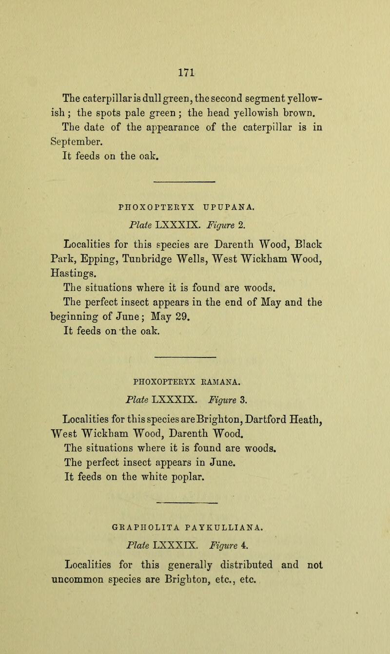 The caterpillar is dull green, the second segment yellow- ish ; the spots pale green; the head yellowish brown. The date of the appearance of the caterpillar is in September. It feeds on the oak. PHOXOPTERYX UPUPANA. Plate LXXXIX. Figure 2. Localities for this species are Darenth Wood, Black Park, Epping, Tunbridge Wells, West Wickham Wood, Hastings. The situations where it is found are woods. The perfect insect appears in the end of May and the beginning of June; May 29. It feeds on the oak. PHOXOPTERYX RAMANA. Plate LXXXIX. Figure 3. Localities for this species are Brighton, Dartford Heath, West Wickham Wood, Darenth Wood. The situations where it is found are woods. The perfect insect appears in June. It feeds on the white poplar. GRAPH OLIT A PAYKULLIANA. Plate LXXXIX. Figure 4. Localities for this generally distributed and not uncommon species are Brighton, etc., etc.