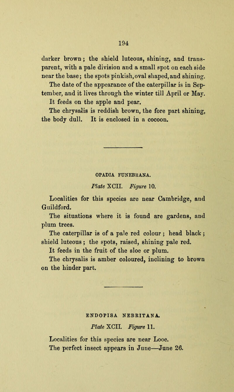 darker brown; the shield luteous, shining, and trans- parent, with a pale division and a small spot on each side near the base; the spots pinkish,oval shaped,and shining. The date of the appearance of the caterpillar is in Sep- tember, and it lives through the winter till April or May. It feeds on the apple and pear. The chrysalis is reddish brown, the fore part shining, the body dull. It is enclosed in a cocoon. OPADIA FUNEBKANA. Plate XCII. Figure 10. Localities for this species are near Cambridge, and Guildford. The situations where it is found are gardens, and plum trees. The caterpillar is of a pale red colour ; head black; shield luteous; the spots, raised, shining pale red. It feeds in the fruit of the sloe or plum. The chrysalis is amber coloured, inclining to brown on the hinder part. ENDOPISA NEBRITANA. Plate XCII. Figure 11. Localities for this species are near Looe.