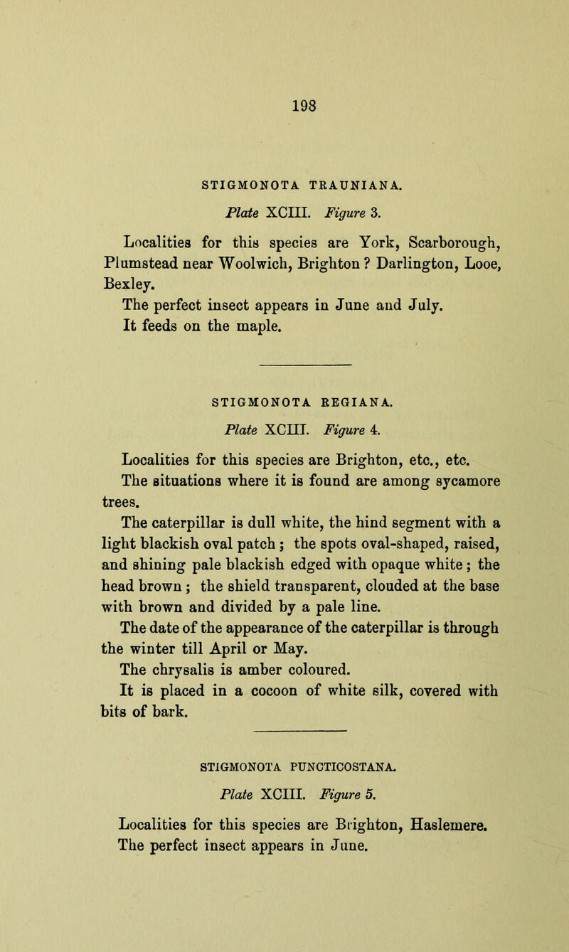 STIGMONOTA TRAUNIANA. Plate XCIII. Figure 3. Localities for this species are York, Scarborough, Plumstead near Woolwich, Brighton ? Darlington, Looe, Bexley. The perfect insect appears in June and July. It feeds on the maple. STIGMONOTA REGIANA. Plate XCIII. Figure 4. Localities for this species are Brighton, etc., etc. The situations where it is found are among sycamore trees. The caterpillar is dull white, the hind segment with a light blackish oval patch; the spots oval-shaped, raised, and shining pale blackish edged with opaque white ; the head brown; the shield transparent, clouded at the base with brown and divided by a pale line. The date of the appearance of the caterpillar is through the winter till April or May. The chrysalis is amber coloured. It is placed in a cocoon of white silk, covered with bits of bark. STIGMONOTA PUNCTICOSTANA. Plate XCIII. Figure 5. Localities for this species are Brighton, Haslemere.