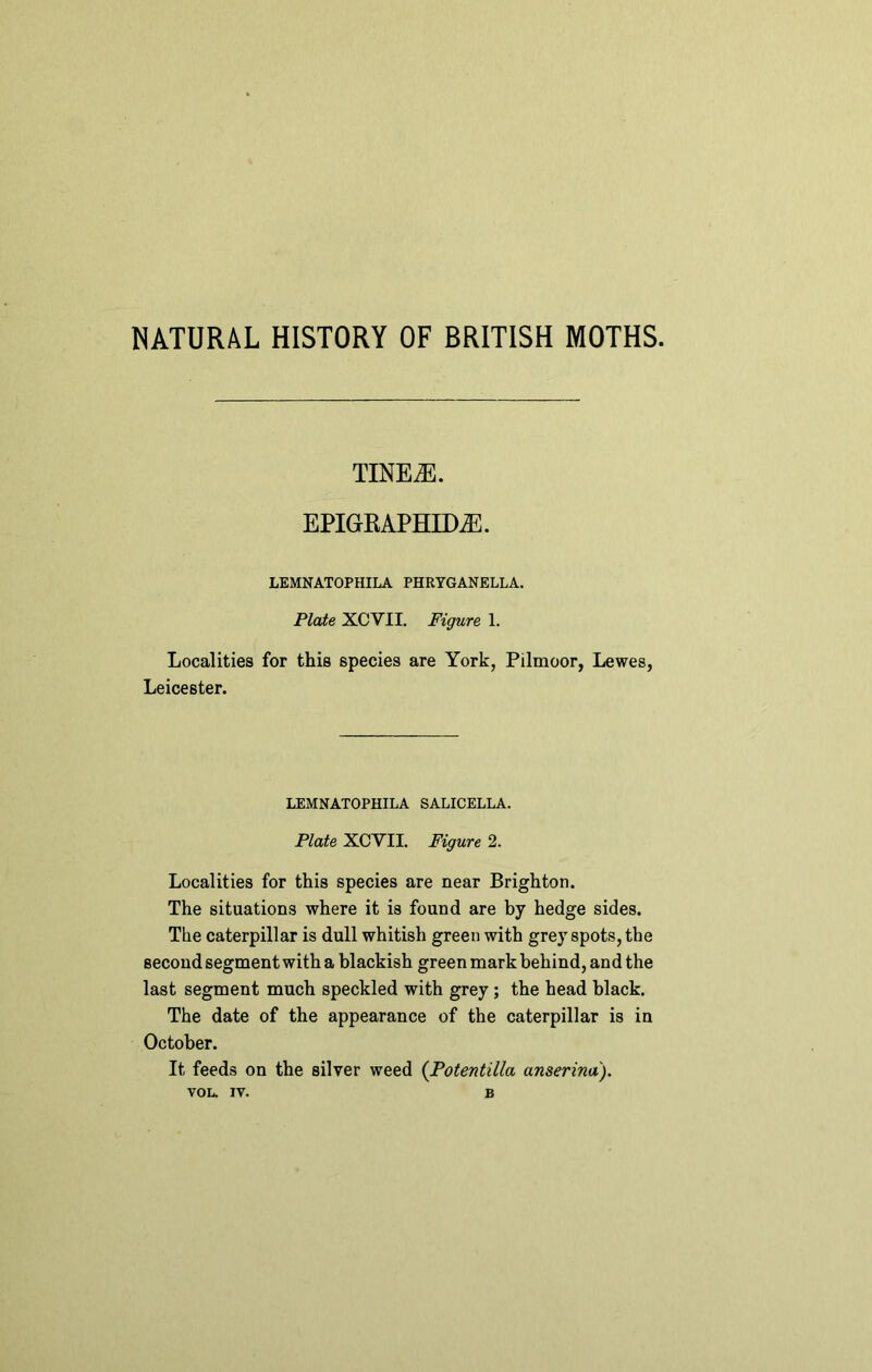 NATURAL HISTORY OF BRITISH MOTHS. TimM. EPIGRAPHIDiE. LEMNATOPHILA PHRYGANELLA. Plate XCVII. Figure 1. Localities for this species are York, Pilmoor, Lewes, Leicester. LEMNATOPHILA SALICELLA. Plate XCVII. Figure 2. Localities for this species are near Brighton. The situations where it is found are by hedge sides. The caterpillar is dull whitish green with grey spots, the second segment with a blackish green mark behind, and the last segment much speckled with grey; the head black. The date of the appearance of the caterpillar is in October. It feeds on the silver weed (Potentilla anserina). VOL. IV. B