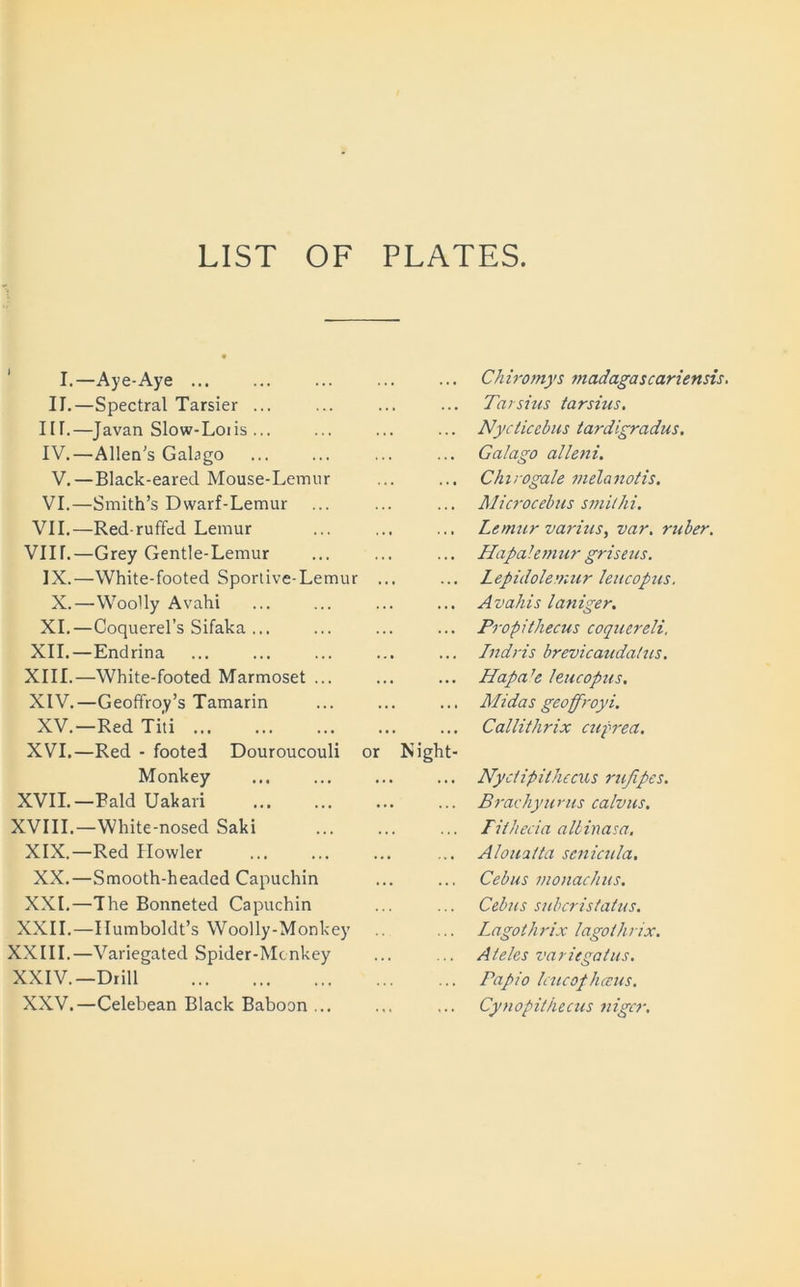 LIST OF PLATES. I.—Aye-Aye II.—Spectral Tarsier ... III. —Javan Slow-Loiis ... IV. —Allen's Galago V. — Black-eared Mouse-Lemur VI.—Smith’s Dwarf-Lemur VII.—Red-ruffed Lemur VIII.—Grey Gentle-Lemur IX.—White-footed Sportive-Lemur X.—Woolly Avahi XI.—Coquerel’s Sifaka ... XII. —Endrina XIII. —White-footed Marmoset ... XIV. —Geoffroy’s Tamarin XV.—Red Ti'ti XVI.—Red - footed Douroucouli or Monkey XVII.—Bald Uakari XVIII.—White-nosed Saki XIX—Red Howler XX.—Smooth-headed Capuchin XXL—The Bonneted Capuchin XXII.—Humboldt’s Woolly-Monkey XXIII.—Variegated Spider-Monkey XXIV.—Drill XXV.—Celebean Black Baboan ... Chiromys madagascariensis. Tarsius iarsius. ... Nycticebus tardigradus. Galago alleni. Chirogale melanotis. Microcebus smilhi. Lemur varius, var. ruber. Hapalemur griseus. ... Lepidolemur leucopus. ... Avahis laniger. ... Propithecus coquereli. ... Indris brevicaudalus. Hapa ’e leucopus. ... MIdas geoffroyi. Callithrix cuprea. Night- ... Nyclipithecus rujipes. ... Brachyurus calvus. Fithecia albinasa. ... Aloualta senicula. Cebus monachus. Cebus subcristatus. Lagothrix lagothrix. Ateles variegatus. Papio Icucophaus. ... Cynopit/iecus nigcr.