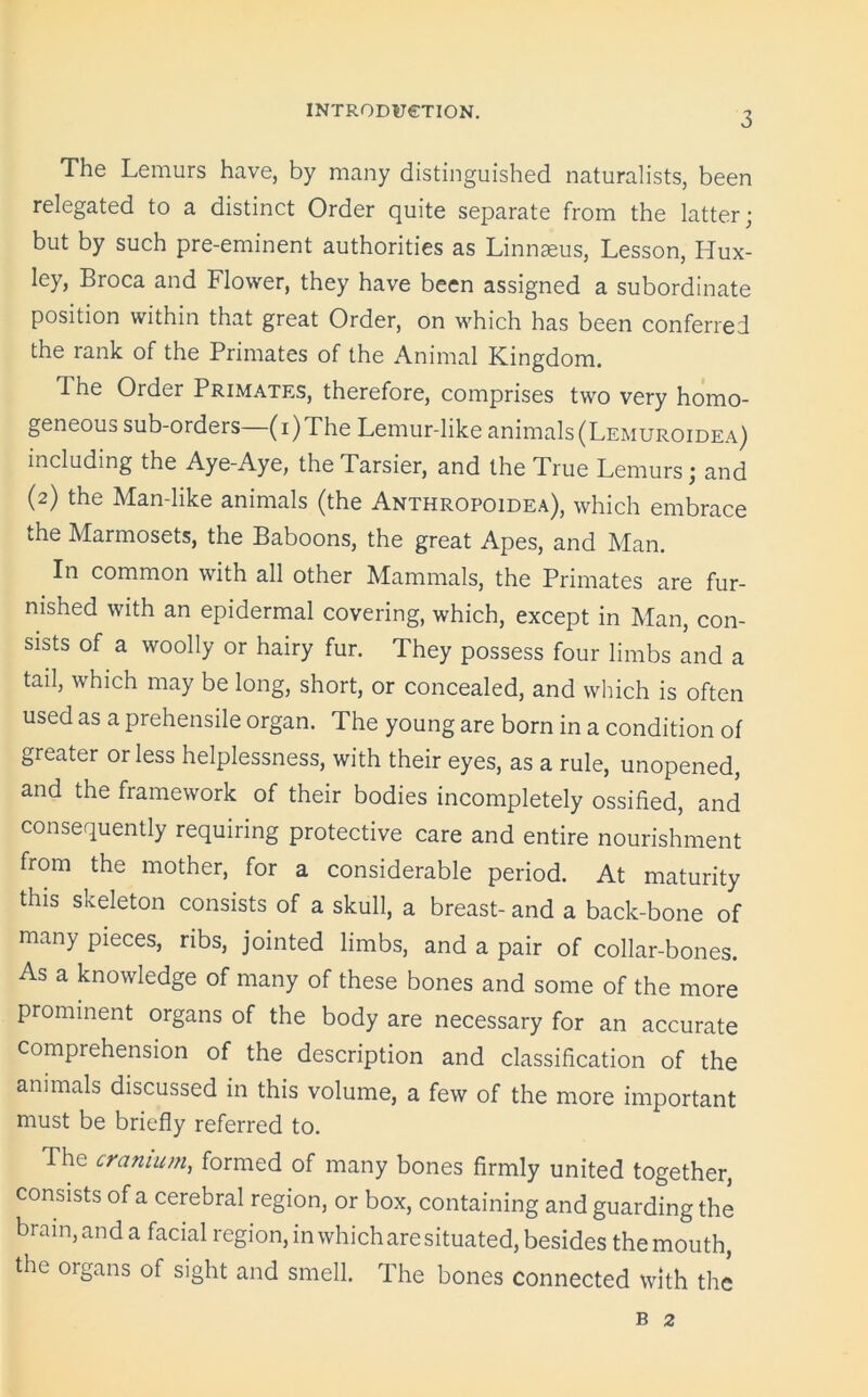 The Lemurs have, by many distinguished naturalists, been relegated to a distinct Order quite separate from the latter; but by such pre-eminent authorities as Linnaeus, Lesson, Hux- ley, Broca and Flower, they have been assigned a subordinate position within that great Order, on which has been conferred the rank of the Primates of the Animal Kingdom. The Order Primates, therefore, comprises two very homo- geneous sub-orders (i)The Lemur-like animals(Lemuroidea) including the Aye-Aye, the Tarsier, and the True Lemurs ; and (2) the Man-like animals (the Anthropoidea), which embrace the Marmosets, the Baboons, the great Apes, and Man. In common with all other Mammals, the Primates are fur- nished with an epidermal covering, which, except in Man, con- sists of a woolly or hairy fur. They possess four limbs and a tail, which may be long, short, or concealed, and which is often used as a prehensile organ. The young are born in a condition of greater or less helplessness, with their eyes, as a rule, unopened, and the framework of their bodies incompletely ossified, and consequently requiring protective care and entire nourishment from the mother, for a considerable period. At maturity this skeleton consists of a skull, a breast- and a back-bone of many pieces, ribs, jointed limbs, and a pair of collar-bones. As a knowledge of many of these bones and some of the more prominent organs of the body are necessary for an accurate comprehension of the description and classification of the animals discussed in this volume, a few of the more important must be briefly referred to. The cranium, formed of many bones firmly united together, consists of a cerebral region, or box, containing and guarding the brain, and a facial region, in which are situated, besides the mouth, the organs of sight and smell. The bones connected with the B 2