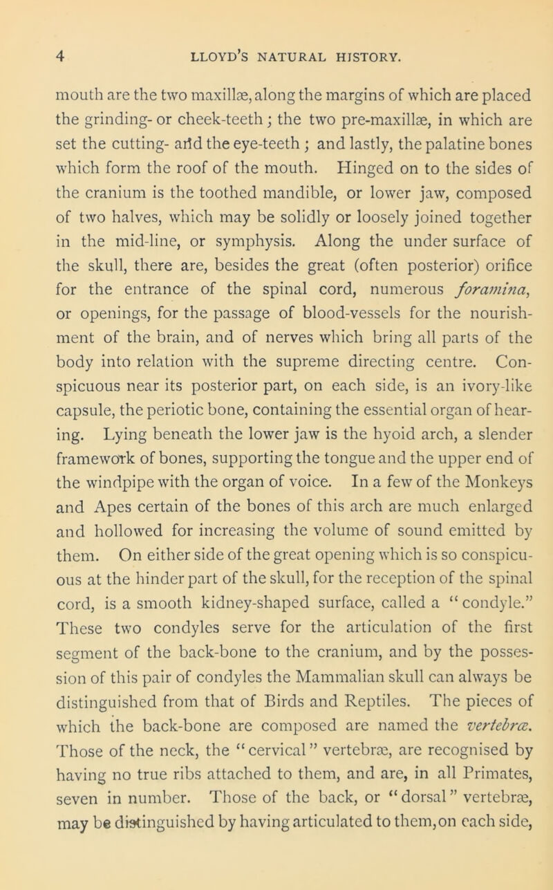 mouth are the two maxillae, along the margins of which are placed the grinding- or cheek-teeth; the two pre-maxillae, in which are set the cutting- arid the eye-teeth ; and lastly, the palatine bones which form the roof of the mouth. Hinged on to the sides of the cranium is the toothed mandible, or lower jaw, composed of two halves, which may be solidly or loosely joined together in the mid-line, or symphysis. Along the under surface of the skull, there are, besides the great (often posterior) orifice for the entrance of the spinal cord, numerous foramina, or openings, for the passage of blood-vessels for the nourish- ment of the brain, and of nerves which bring all parts of the body into relation with the supreme directing centre. Con- spicuous near its posterior part, on each side, is an ivory-like capsule, the periotic bone, containing the essential organ of hear- ing. Lying beneath the lower jaw is the hyoid arch, a slender framework of bones, supporting the tongue and the upper end of the windpipe with the organ of voice. In a few of the Monkeys and Apes certain of the bones of this arch are much enlarged and hollowed for increasing the volume of sound emitted by them. On either side of the great opening which is so conspicu- ous at the hinder part of the skull, for the reception of the spinal cord, is a smooth kidney-shaped surface, called a “ condyle.” These two condyles serve for the articulation of the first segment of the back-bone to the cranium, and by the posses- sion of this pair of condyles the Mammalian skull can always be distinguished from that of Birds and Reptiles. The pieces of which the back-bone are composed are named the vertebra. Those of the neck, the “cervical” vertebras, are recognised by having no true ribs attached to them, and are, in all Primates, seven in number. Those of the back, or “ dorsal ” vertebras, may be distinguished by having articulated to them,on each side,