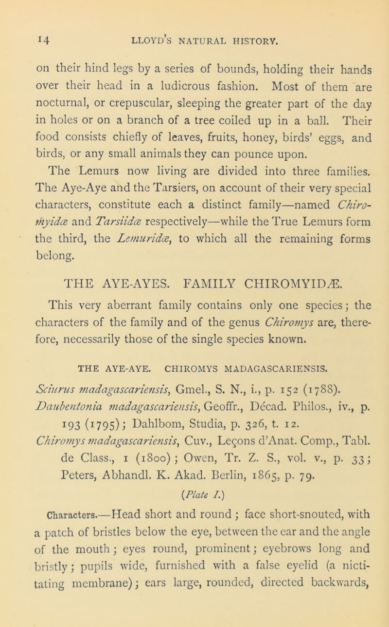 on their hind legs by a series of bounds, holding their hands over their head in a ludicrous fashion. Most of them are nocturnal, or crepuscular, sleeping the greater part of the day in holes or on a branch of a tree coiled up in a ball. Their food consists chiefly of leaves, fruits, honey, birds’ eggs, and birds, or any small animals they can pounce upon. The Lemurs now living are divided into three families. The Aye-Aye and the Tarsiers, on account of their very special characters, constitute each a distinct family—named Chiro- fhyidtx and Tarsiidce respectively—while the True Lemurs form the third, the Lemuridce, to which all the remaining forms belong. THE AYE-AYES. FAMILY CHIROMYID^. This very aberrant family contains only one species; the characters of the family and of the genus Chiromys are, there- fore, necessarily those of the single species known. THE AYE-AYE. CHIROMYS MADAGASCARIENSIS. Sciurus madagascariensis, Gmel., S. N., i., p. 152 (178S). Daubentonia madagascariensis, Geoffr., Decad. Philos., iv., p. 193 (1795) j Dahlbom, Studia, p. 326, t. 12. Chiromys madagascariensis, Cuv., Lemons d’Anat. Comp., Tabl. de Class., 1 (1800); Owen, Tr. Z. S., vol. v., p. 33; Peters, Abhandl. K. Akad. Berlin, 1865, p. 79. {Plate /.) Characters.—Head short and round ; face short-snouted, with a patch of bristles below the eye, between the ear and the angle of the mouth ; eyes round, prominent; eyebrows long and bristly; pupils wide, furnished with a false eyelid (a nicti- tating membrane); ears large, rounded, directed backwards,