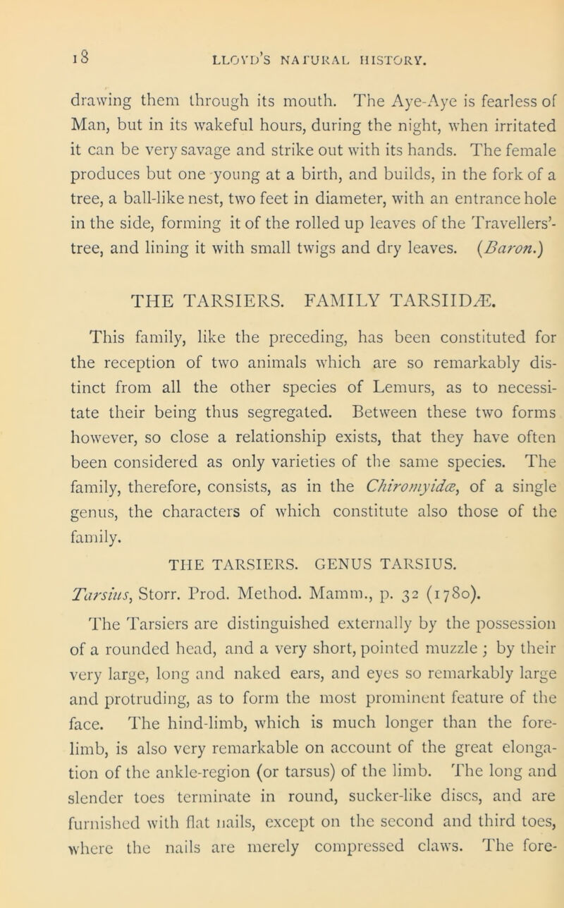 drawing them through its mouth. The Aye-Aye is fearless of Man, but in its wakeful hours, during the night, when irritated it can be very savage and strike out with its hands. The female produces but one young at a birth, and builds, in the fork of a tree, a ball-like nest, two feet in diameter, with an entrance hole in the side, forming it of the rolled up leaves of the Travellers’- tree, and lining it with small twigs and dry leaves. {Baron.) THE TARSIERS. FAMILY TARSI I DHL This family, like the preceding, has been constituted for the reception of two animals which are so remarkably dis- tinct from all the other species of Lemurs, as to necessi- tate their being thus segregated. Between these two forms however, so close a relationship exists, that they have often been considered as only varieties of the same species. The family, therefore, consists, as in the Chiromyidce, of a single genus, the characters of which constitute also those of the family. THE TARSIERS. GENUS TARSIUS. Tarsias, Storr. Prod. Method. Mamm., p. 32 (1780). The Tarsiers are distinguished externally by the possession of a rounded head, and a very short, pointed muzzle ; by their very large, long and naked ears, and eyes so remarkably large and protruding, as to form the most prominent feature of the face. The hind-limb, which is much longer than the fore- limb, is also very remarkable on account of the great elonga- tion of the ankle-region (or tarsus) of the limb. The long and slender toes terminate in round, sucker-like discs, and are furnished with flat nails, except on the second and third toes, where the nails are merely compressed claws. The fore-