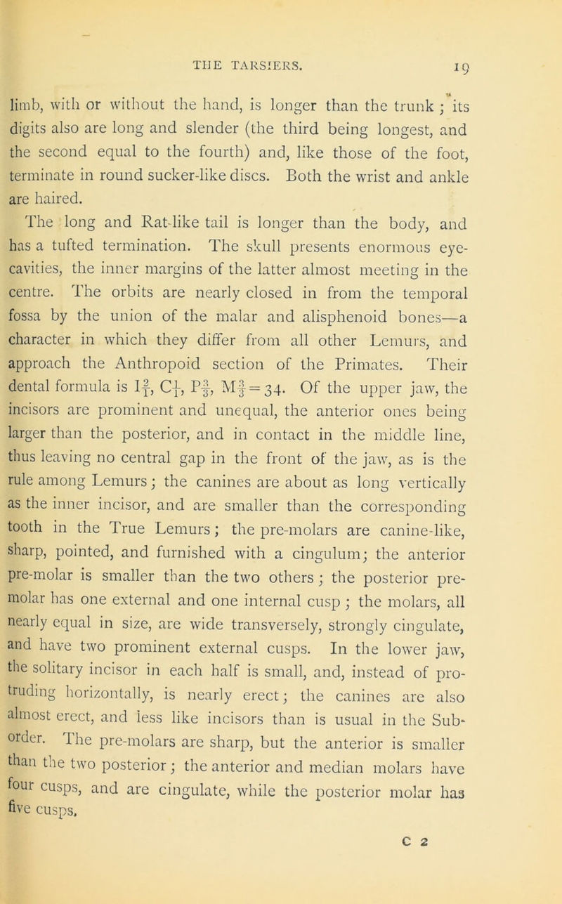 *9 limb, with or without the hand, is longer than the trunk ; its digits also are long and slender (the third being longest, and the second equal to the fourth) and, like those of the foot, terminate in round sucker-like discs. Both the wrist and ankle are haired. The long and Rat like tail is longer than the body, and has a tufted termination. The skull presents enormous eye- cavities, the inner margins of the latter almost meeting in the centre. The orbits are nearly closed in from the temporal fossa by the union of the malar and alisphenoid bones—a character in which they differ from all other Lemurs, and approach the Anthropoid section of the Primates. Their dental formula is If-, C}, Pf, Mf = 34. Of the upper jaw, the incisors are prominent and unequal, the anterior ones being larger than the posterior, and in contact in the middle line, thus leaving no central gap in the front of the jaw, as is the rule among Lemurs; the canines are about as long vertically as the inner incisor, and are smaller than the corresponding tooth in the True Lemurs; the pre-molars are canine-like, sharp, pointed, and furnished with a cingulum; the anterior pre-molar is smaller than the two others ; the posterior pre- molar has one external and one internal cusp ; the molars, all nearly equal in size, are wide transversely, strongly cingulate, and have two prominent external cusps. In the lower jaw, the solitary incisor in each half is small, and, instead of pro- truding horizontally, is nearly erect; the canines are also almost erect, and less like incisors than is usual in the Sub- order. I he pre-molars are sharp, but the anterior is smaller than the two posterior; the anterior and median molars have four cusps, and are cingulate, while the posterior molar ha3 live cusps. c 2