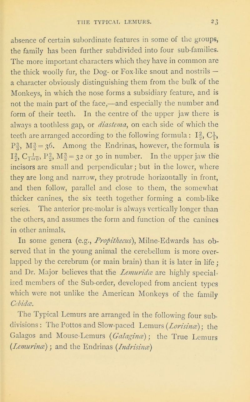 absence of certain subordinate features in some of the groups, the family has been further subdivided into four sub-families. The more important characters which they have in common are the thick woolly fur, the Dog- or Fox-like snout and nostrils — a character obviously distinguishing them from the bulk of the Monkeys, in which the nose forms a subsidiary feature, and is not the main part of the face,—and especially the number and form of their teeth. In the centre of the upper jaw there is always a toothless gap, or diastema, on each side of which the teeth are arranged according to the following formula : If, Cf, Pf, M§=36. Among the Endrinas, however, the formula is If, Cj^fo> Pf, Mf = 32 or 30 in number. In the upper jaw the incisors are small and perpendicular; but in the lower, where they are long and narrow, they protrude horizontally in front, and then follow, parallel and close to them, the somewhat thicker canines, the six teeth together forming a comb-like series. The anterior pre-molar is always vertically longer than the others, and assumes the form and function of the canines in other animals. In some genera (e.g., Propithecus), Milne-Edwards has ob- served that in the young animal the cerebellum is more over- lapped by the cerebrum (or main brain) than it is later in life ; and Dr. Major believes that the Lemuridce are highly special- ised members of the Sub-order, developed from ancient types which were not unlike the American Monkeys of the family Cel) idee. The Typical Lemurs are arranged in the following four sub- divisions: The Pottos and Slow-paced Lemurs (Lorisinee); the Galagos and Mouse-Lemurs (Galaginee); the True Lemurs (Lemurince); and the Endrinas (Indrisinee)