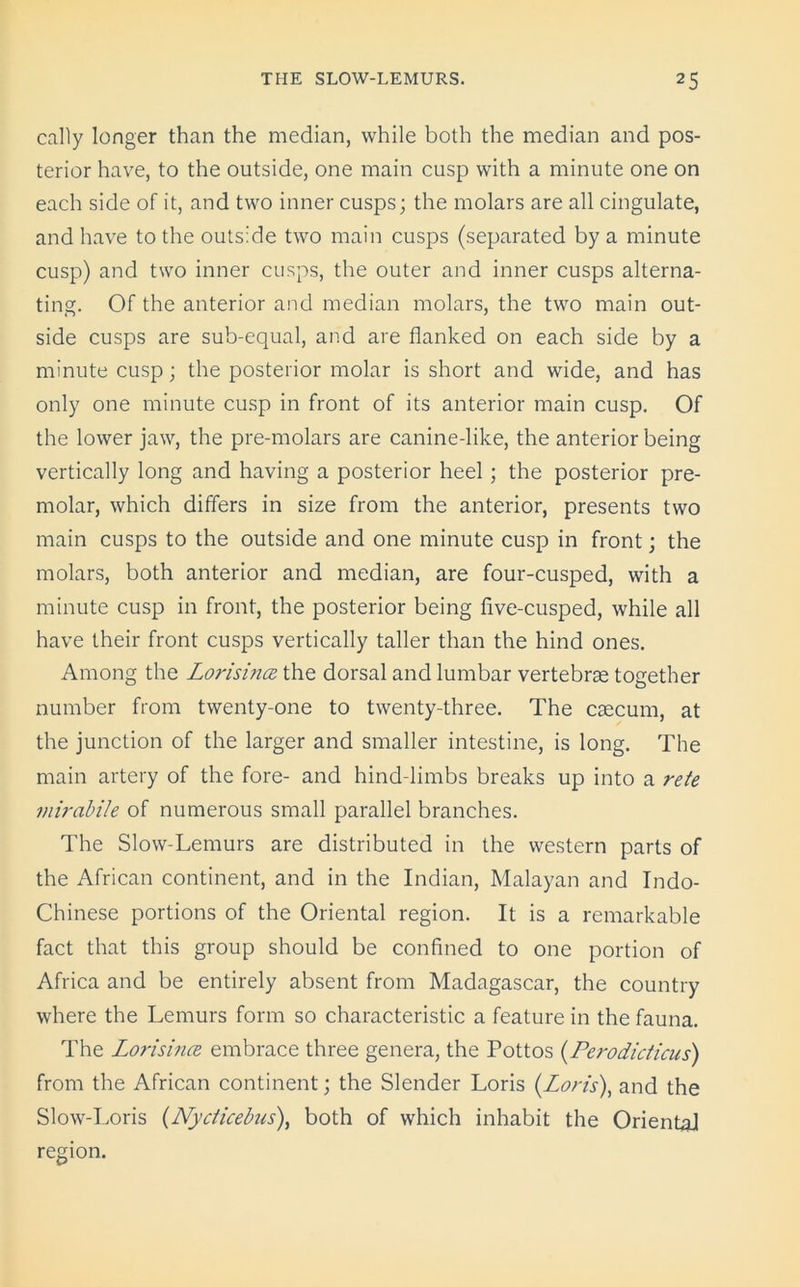 cally longer than the median, while both the median and pos- terior have, to the outside, one main cusp with a minute one on each side of it, and two inner cusps; the molars are all cingulate, and have to the outside two main cusps (separated by a minute cusp) and two inner cusps, the outer and inner cusps alterna- ting. Of the anterior and median molars, the two main out- side cusps are sub-equal, and are flanked on each side by a minute cusp; the posterior molar is short and wide, and has only one minute cusp in front of its anterior main cusp. Of the lower jaw, the pre-molars are canine-like, the anterior being vertically long and having a posterior heel ; the posterior pre- molar, which differs in size from the anterior, presents two main cusps to the outside and one minute cusp in front; the molars, both anterior and median, are four-cusped, with a minute cusp in front, the posterior being five-cusped, while all have their front cusps vertically taller than the hind ones. Among the Lorishitz the dorsal and lumbar vertebrae together number from twenty-one to twenty-three. The caecum, at the junction of the larger and smaller intestine, is long. The main artery of the fore- and hind-limbs breaks up into a rete mirabile of numerous small parallel branches. The Slow-Lemurs are distributed in the western parts of the African continent, and in the Indian, Malayan and Indo- Chinese portions of the Oriental region. It is a remarkable fact that this group should be confined to one portion of Africa and be entirely absent from Madagascar, the country where the Lemurs form so characteristic a feature in the fauna. The Lorisince embrace three genera, the Pottos (Perodicticus) from the African continent; the Slender Loris (Loris), and the Slow-Loris (Nydicebus), both of which inhabit the Oriental region.