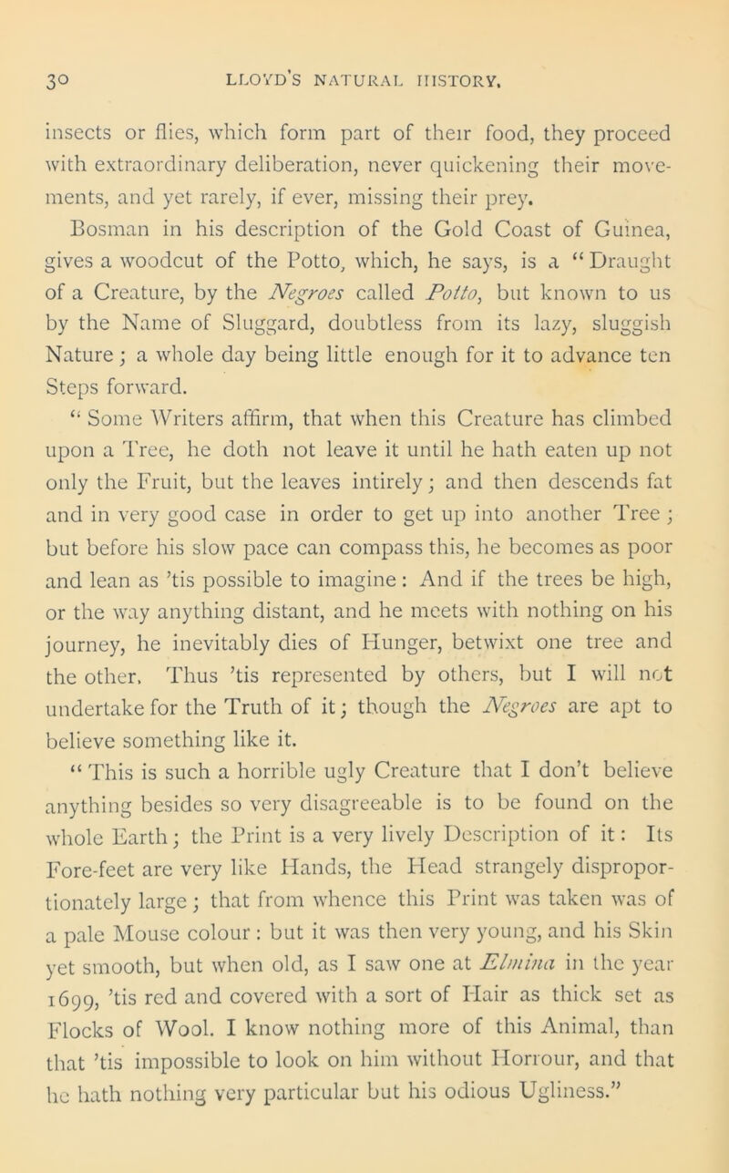 insects or flies, which form part of their food, they proceed with extraordinary deliberation, never quickening their move- ments, and yet rarely, if ever, missing their prey. Bosnian in his description of the Gold Coast of Guinea, gives a woodcut of the Potto, which, he says, is a “ Draught of a Creature, by the Negroes called Potto, but known to us by the Name of Sluggard, doubtless from its lazy, sluggish Nature; a whole day being little enough for it to advance ten Steps forward. “ Some Writers affirm, that when this Creature has climbed upon a Tree, he doth not leave it until he hath eaten up not only the Fruit, but the leaves intirely; and then descends fat and in very good case in order to get up into another Tree ; but before his slow pace can compass this, he becomes as poor and lean as ’tis possible to imagine: And if the trees be high, or the way anything distant, and he meets with nothing on his journey, he inevitably dies of Hunger, betwixt one tree and the other. Thus ’tis represented by others, but I will not undertake for the Truth of it; though the Negroes are apt to believe something like it. “ This is such a horrible ugly Creature that I don’t believe anything besides so very disagreeable is to be found on the whole Earth; the Print is a very lively Description of it: Its Fore-feet are very like Hands, the Head strangely dispropor- tionately large; that from whence this Print was taken was of a pale Mouse colour : but it was then very young, and his Skin yet smooth, but when old, as I saw one at El/nina in the year 1699, ’tis red and covered with a sort of I-Iair as thick set as Flocks of Wool. I know nothing more of this Animal, than that ’tis impossible to look on him without Honour, and that he hath nothing very particular but his odious Ugliness.”