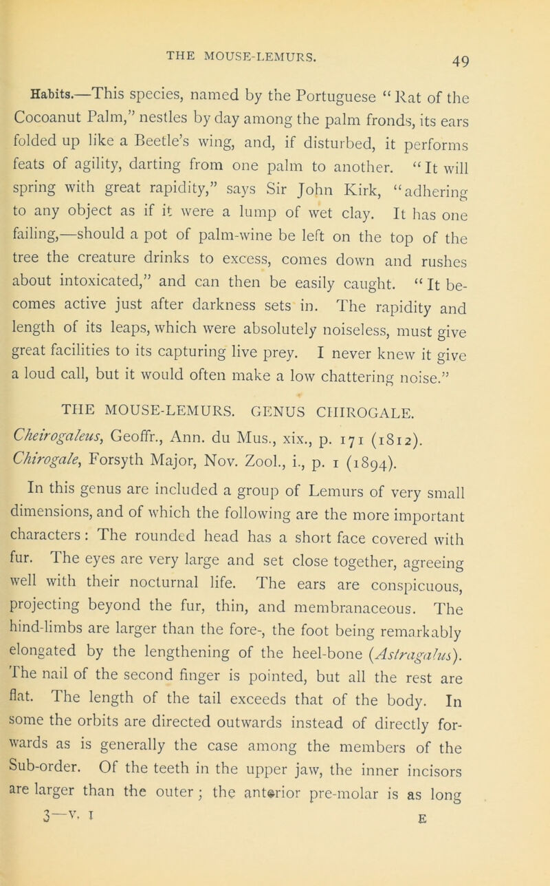 Habits.—This species, named by the Portuguese “ Rat of the Cocoanut Palm,” nestles by day among the palm fronds, its ears folded up like a Beetle’s wing, and, if disturbed, it performs feats of agility, darting from one palm to another. “ It will spring with great rapidity,” says Sir John Kirk, “adhering to any object as if it were a lump of wet clay. It has one failing,—should a pot of palm-wine be left on the top of the tree the creature drinks to excess, comes down and rushes about intoxicated,” and can then be easily caught. “ It be- comes active just after darkness sets in. The rapidity and length of its leaps, which were absolutely noiseless, must give great facilities to its capturing live prey. I never knew it give a loud call, but it would often make a low chattering noise.” THE MOUSE-LEMURS. GENUS CIIIROGALE. Cheiroga/eus, Geoffr., Ann. du Mus., xix., p. 171 (1812). Chirogcile, Forsyth Major, Nov. Zool., i., p. 1 (1894). In this genus are included a group of Lemurs of very small dimensions, and of which the following are the more important characters: The rounded head has a short face covered with fur. The eyes are very large and set close together, agreeing well with their nocturnal life, d he ears are conspicuous, projecting beyond the fur, thin, and membranaceous. The hind-limbs are larger than the fore-, the foot being remarkably elongated by the lengthening of the heel-bone {Astragalus). The nail of the second finger is pointed, but all the rest are flat. The length of the tail exceeds that of the body. In some the orbits are directed outwards instead of directly for- wards as is generally the case among the members of the Sub-order. Of the teeth in the upper jaw, the inner incisors are larger than the outer ; the anterior pre-molar is as long 3—V- I E