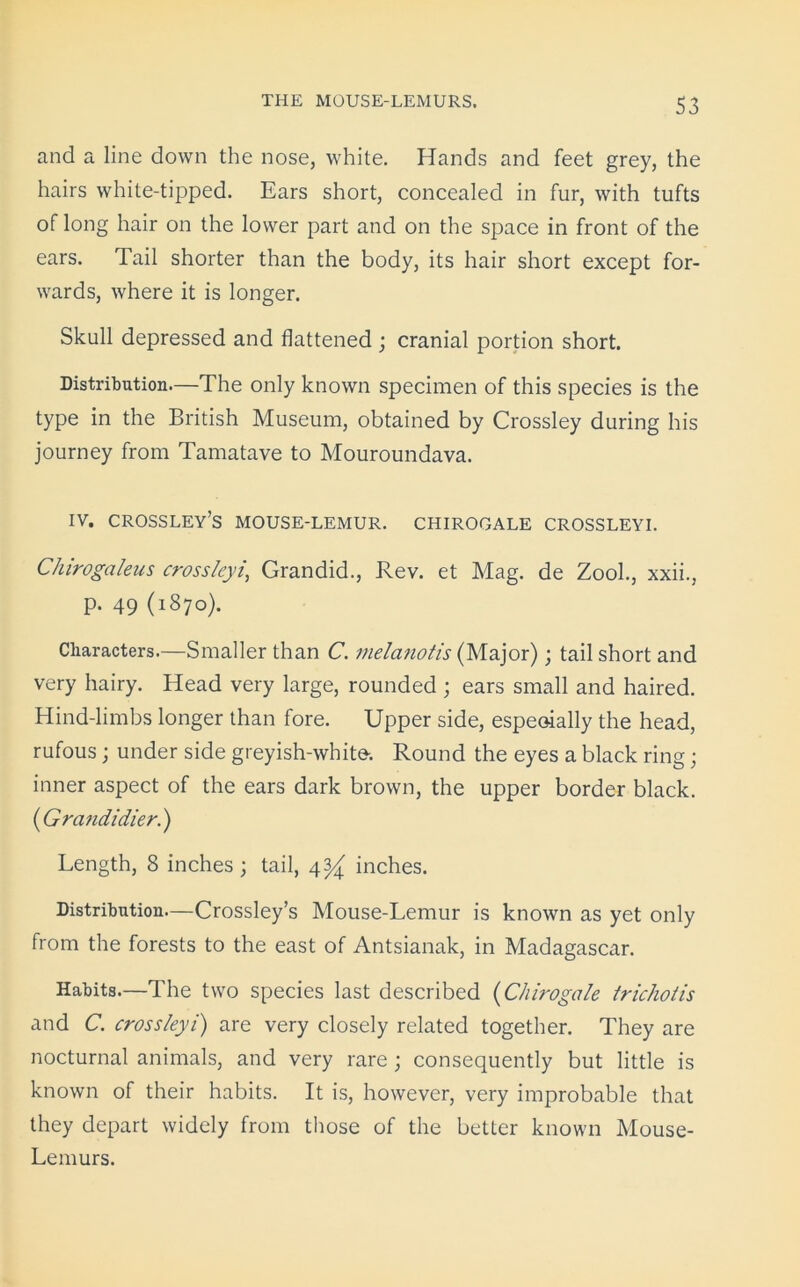 and a line down the nose, white. Hands and feet grey, the hairs white-tipped. Ears short, concealed in fur, with tufts of long hair on the lower part and on the space in front of the ears. Tail shorter than the body, its hair short except for- wards, where it is longer. Skull depressed and flattened ; cranial portion short. Distribution.—The only known specimen of this species is the type in the British Museum, obtained by Crossley during his journey from Tamatave to Mouroundava. iv. crossley’s mouse-lemur, chirogale crossleyi. Chirogaleus crossleyi, Grandid., Rev. et Mag. de Zool., xxii., p. 49 (1870). Characters.—Smaller than C. melanotis (Major) ; tail short and very hairy. Head very large, rounded ; ears small and haired. Hind-limbs longer than fore. Upper side, espeoially the head, rufous; under side greyish-white. Round the eyes a black ring j inner aspect of the ears dark brown, the upper border black. (Grandidier.) Length, 8 inches; tail, 4^ inches. Distribution—Crossley’s Mouse-Lemur is known as yet only from the forests to the east of Antsianak, in Madagascar. Habits.—The two species last described (Chirogale trichotis and C. crossleyi) are very closely related together. They are nocturnal animals, and very rare; consequently but little is known of their habits. It is, however, very improbable that they depart widely from those of the better known Mouse- Lemurs.