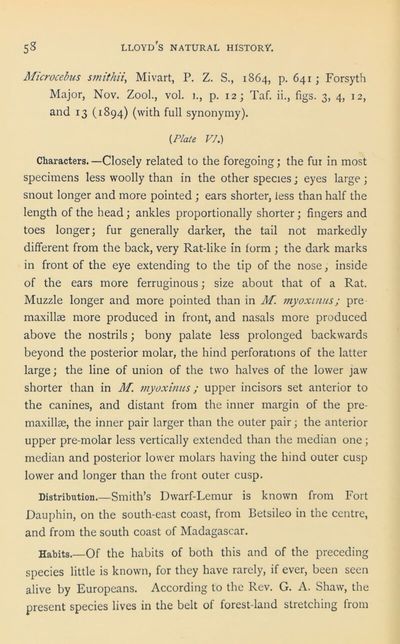 Microcebus smithii, Mivart, P. Z. S., 1864, p. 641 ; Forsyth Major, Nov. Zool., vol. 1., p. 12; Taf. ii., figs. 3, 4, 12, and 13 (1894) (with full synonymy). [Plate VI.) Characters.—Closely related to the foregoing; the fur in most specimens less woolly than in the other species; eyes large ; snout longer and more pointed ; ears shorter, less than half the length of the head; ankles proportionally shorter; fingers and toes longer; fur generally darker, the tail not markedly different from the back, very Rat-like in form ; the dark marks in front of the eye extending to the tip of the nose, inside of the ears more ferruginous; size about that of a Rat. Muzzle longer and more pointed than in M. inyoxinus; pre maxillae more produced in front, and nasals more produced above the nostrils; bony palate less prolonged backwards beyond the posterior molar, the hind perforations of the latter large; the line of union of the two halves of the lower jaw shorter than in M. inyoxinus; upper incisors set anterior to the canines, and distant from the inner margin of the pre- maxillae, the inner pair larger than the outer pair; the anterior upper pre-molar less vertically extended than the median one ; median and posterior lower molars having the hind outer cusp lower and longer than the front outer cusp. Distribution.—Smith’s Dwarf-Lemur is known from Fort Dauphin, on the south-east coast, from Betsileo in the centre, and from the south coast of Madagascar. Habits.—Of the habits of both this and of the preceding species little is known, for they have rarely, if ever, been seen alive by Europeans. According to the Rev. G. A. Shaw, the present species lives in the belt of forest-land stretching from