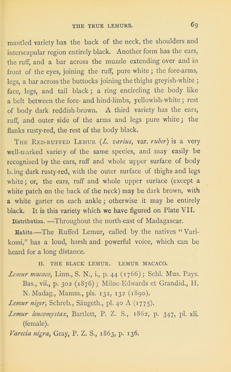 mantled variety has the back of the neck, the shoulders and interscapular region entirely black. Another form has the ears, the ruff, and a bar across the muzzle extending over and in front of the eyes, joining the ruff, pure white ; the fore-arms, legs, a bar across the buttocks joining the thighs greyish-white ; face, legs, and tail black; a ring encircling the body like a belt between the fore- and hind-limbs, yellowish-white; rest of body dark reddish-brown. A third variety has the ears, ruff, and outer side of the arms and legs pure white; the flanks rusty-red, the rest of the body black. The Red-ruffed Lemur (Z. varius, var. ruber) is a very well-marked variety of the same species, and may easily be recognised by the ears, ruff and whole upper surface of body King dark rusty-red, with the outer surface of thighs and legs white; or, the ears, ruff and whole upper surface (except a white patch on the back of the neck) may be dark brown, with a white garter on each ankle; otherwise it may be entirely black. It is this variety which we have figured on Plate VII. Distribution. —Throughout the north-east of Madagascar. Habits—The Ruffed Lemur, called by the natives “ Vari- kossi,” has a loud, harsh and powerful voice, which can be heard for a long distance. II. THE BLACK LEMUR. LEMUR MACACO. Lemur macaco, Linn., S. N., i., p. 44 (1766) ; Schl. Mus. Pays. Bas., vii., p. 302 (1876); Milne-Edwards et Grandid., PI. N. Madag., Mamm., pis. 131, 132 (1890). Lemur niger, Schreb., Siiugeth., pi. 40 A (1775). Lemur leucomystax, Bartlett, P. Z. S., 1862, p. 347, pi. xli. (female). Varecia nigra, Gray, P. Z. S., 1863, p. 136.