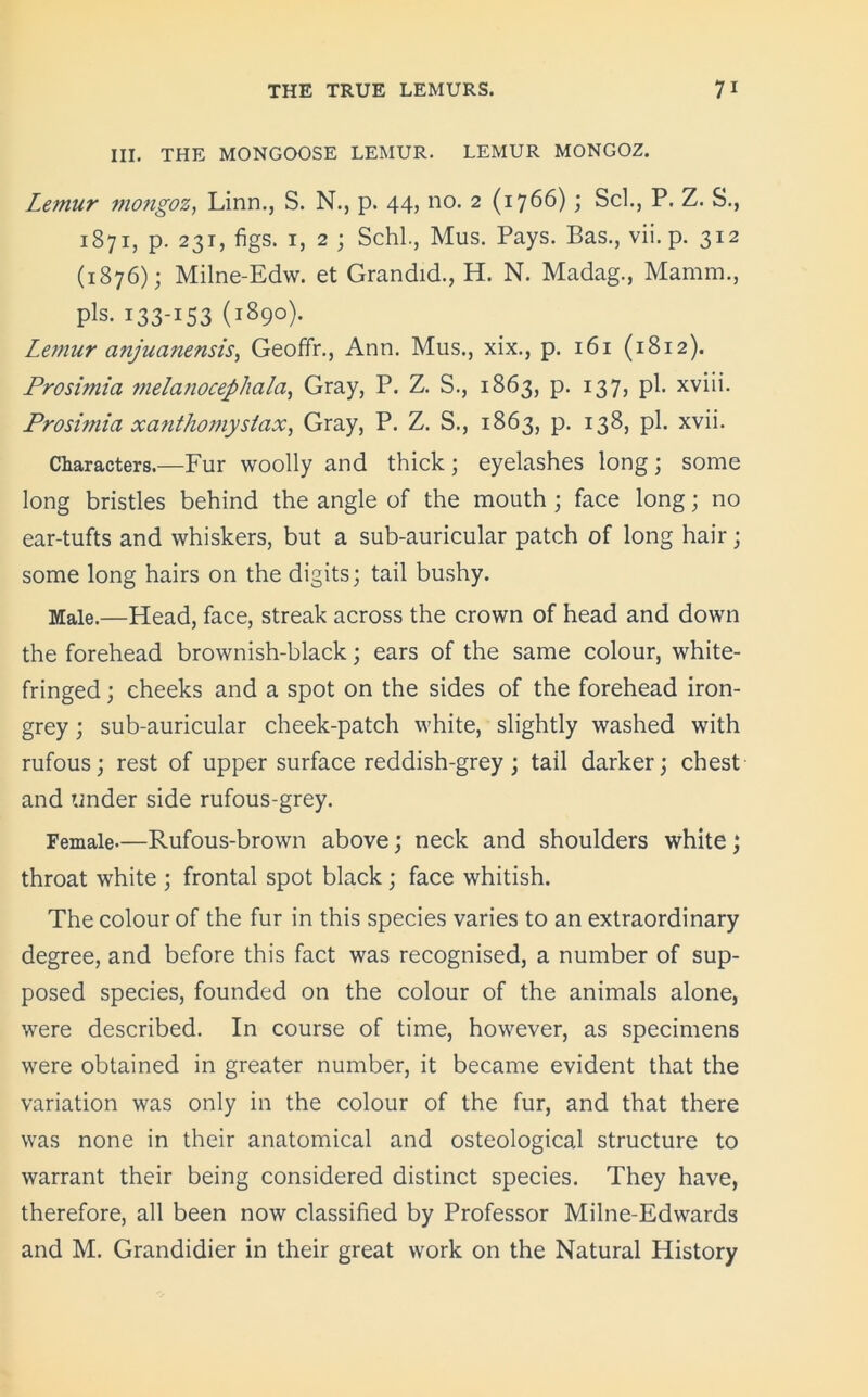 III. THE MONGOOSE LEMUR. LEMUR MONGOZ. Lemur mongoz, Linn., S. N., p. 44, no. 2 (1766); Scl., P. Z. S., 1871, p. 231, figs. 1, 2 ; Schl., Mus. Pays. Bas., vii. p. 312 (1876); Milne-Edw. et Grandid., H. N. Madag., Mamin., pis. 133-153 (1890). Lemur anjuanensis, Geoffr., Ann. Mus., xix., p. 161 (1812). Prosimia melanocephala, Gray, P. Z. S., 1863, p. 137, pi. xviii. Prosimia xanthomystax, Gray, P. Z. S., 1863, p. 138, pi. xvii. Characters.—Fur woolly and thick ; eyelashes long ; some long bristles behind the angle of the mouth ; face long; no ear-tufts and whiskers, but a sub-auricular patch of long hair; some long hairs on the digits; tail bushy. Male.—Head, face, streak across the crown of head and down the forehead brownish-black; ears of the same colour, white- fringed ; cheeks and a spot on the sides of the forehead iron- grey ; sub-auricular cheek-patch white, slightly washed with rufous; rest of upper surface reddish-grey; tail darker; chest and under side rufous-grey. Female.—Rufous-brown above; neck and shoulders white; throat white ; frontal spot black; face whitish. The colour of the fur in this species varies to an extraordinary degree, and before this fact was recognised, a number of sup- posed species, founded on the colour of the animals alone, were described. In course of time, however, as specimens were obtained in greater number, it became evident that the variation was only in the colour of the fur, and that there was none in their anatomical and osteological structure to warrant their being considered distinct species. They have, therefore, all been now classified by Professor Milne-Edwards and M. Grandidier in their great work on the Natural History