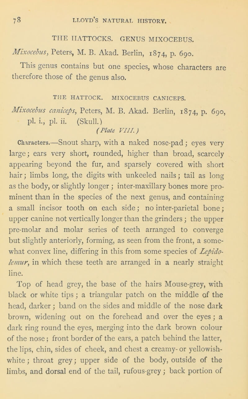 THE IIATTOCKS. GENUS MIXOCEBUS. Mixocebus, Peters, M. B. Akad. Berlin, 1874, p. 690. This genus contains but one species, whose characters are therefore those of the genus also. THE HATTOCK. MIXOCEBUS CANICEPS. Mixocebus eciniceps, Peters, M. B. Akad. Berlin, 1874, p. 690, pi. i., pi. ii. (Skull.) (Plate VIII.) Characters.—Snout sharp, with a naked nose-pad; eyes very large; ears very short, rounded, higher than broad, scarcely appearing beyond the fur, and sparsely covered with short hair; limbs long, the digits with unkeeled nails; tail as long as the body, or slightly longer ; inter-maxillary bones more pro- minent than in the species of the next genus, and containing a small incisor tooth on each side; no inter-parietal bone; upper canine not vertically longer than the grinders; the upper pre-molar and molar series of teeth arranged to converge but slightly anteriorly, forming, as seen from the front, a some- what convex line, differing in this from some species of Lepido- lemur, in which these teeth are arranged in a nearly straight line. Top of head grey, the base of the hairs Mouse-grey, with black or white tips; a triangular patch on the middle of the head, darker; band on the sides and middle of the nose dark brown, widening out on the forehead and over the eyes; a dark ring round the eyes, merging into the dark brown colour of the nose ; front border of the ears, a patch behind the latter, the lips, chin, sides of cheek, and chest a creamy-or yellowish- white ; throat grey; upper side of the body, outside of the limbs, and dorsal end of the tail, rufous-grey; back portion of