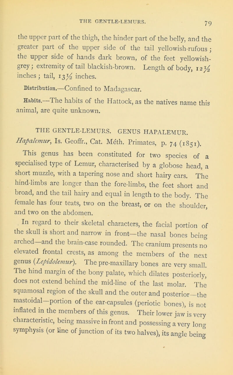 the upper part of the thigh, the hinder part of the belly, and the greater part of the upper side of the tail yellowish-rufous; the upper side of hands dark brown, of the feet yellowish- grey; extremity of tail blackish-brown. Length of body, 12% inches; tail, 13^ inches. Distribution.—Confined to Madagascar. Habits. The habits of the Hattock, as the natives name this animal, are quite unknown. THE GENTLE-LEMURS. GENUS HAPALEMUR. Hapalemur, Is. Geoffr., Cat. Meth. Primates, p. 74 (1851). This genus has been constituted for two species of a specialised type of Lemur, characterised by a globose head, a short muzzle, with a tapering nose and short hairy ears. The hind-limbs are longer than the fore-limbs, the feet short and broad, and the tail hairy and equal in length to the body. The female has four teats, two on the breast, or on the shoulder, and two on the abdomen. In regard to their skeletal characters, the facial portion of the skull is short and narrow in front—the nasal bones being arched and the brain-case rounded. The cranium presents no elevated frontal crests, as among the members of the next genus (.Lepidolemur). The pre-maxillary bones are very small. The hind margin of the bony palate, which dilates posteriorly, does not extend behind the mid-line of the last molar. The squamosal region of the skull and the outer and posterior the mastoidal—portion of the ear-capsules (periotic bones), is not inflated in the members of this genus. Their lower jaw is very characteristic, being massive in front and possessing a very long symphysis (or Line of junction of its two halves), its angle being